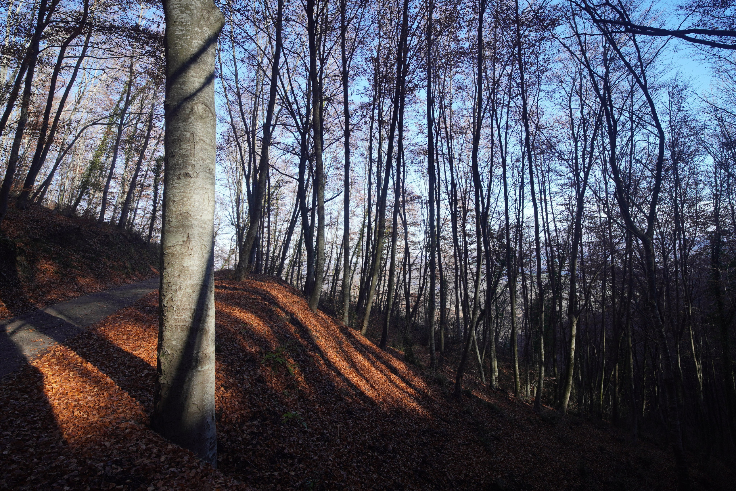 Rupit. Alba del Norte Studio