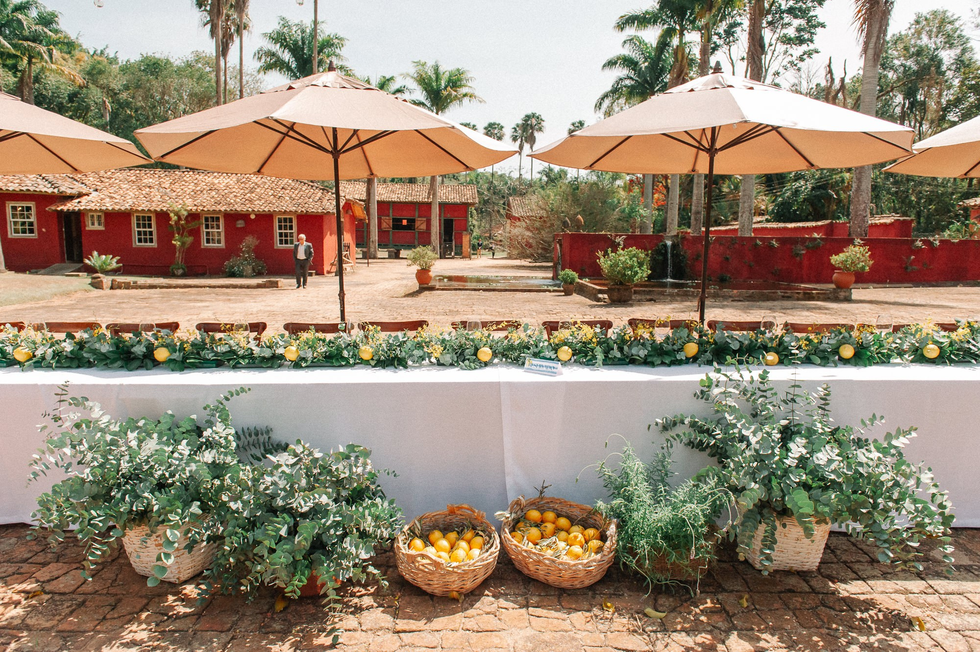 Clara e Arthur — Fazenda das Cabras