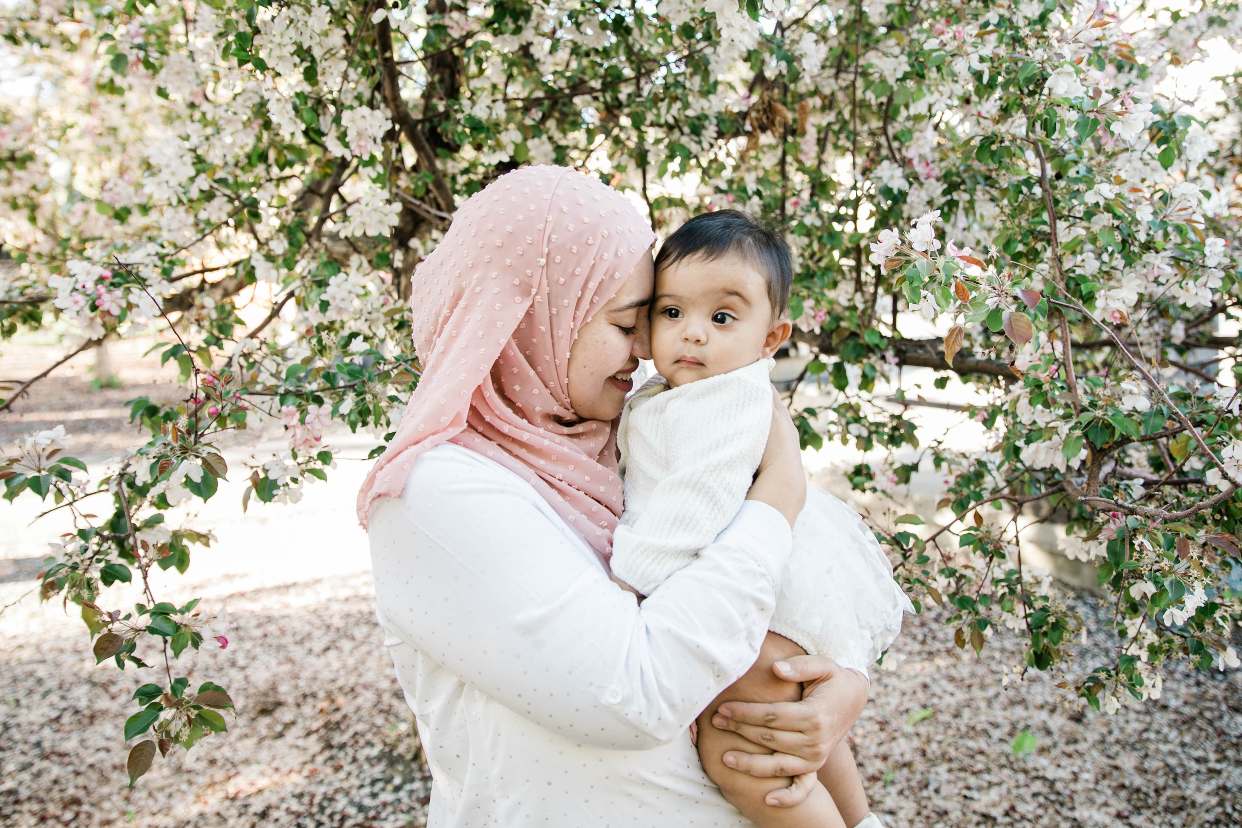 Nabeel Cherry Blossoms. Fotografía accesible en Calgary