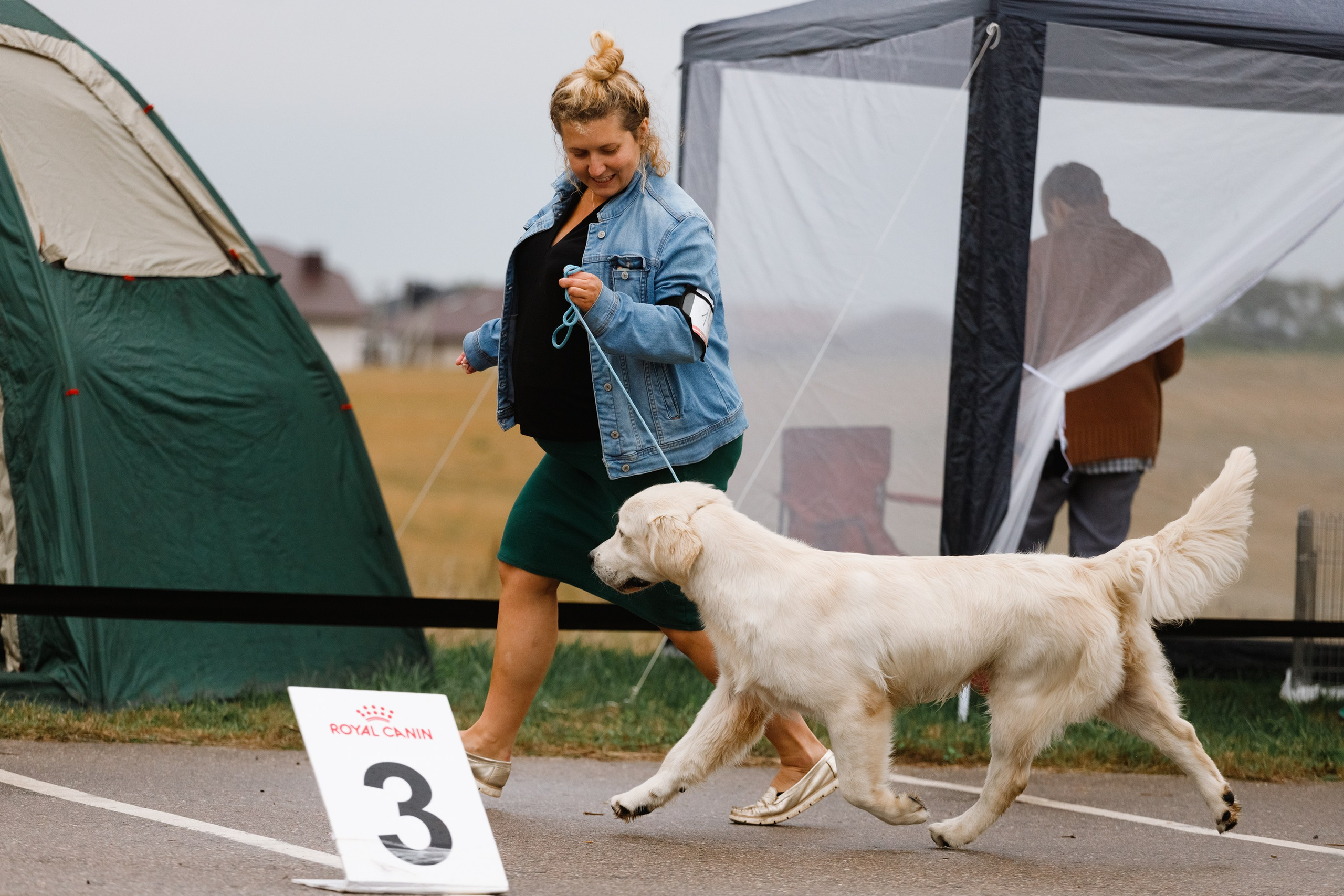 Rainy dog show in Grodno. Kaja | fotograf we Wrocławiu | ludzie i psy
