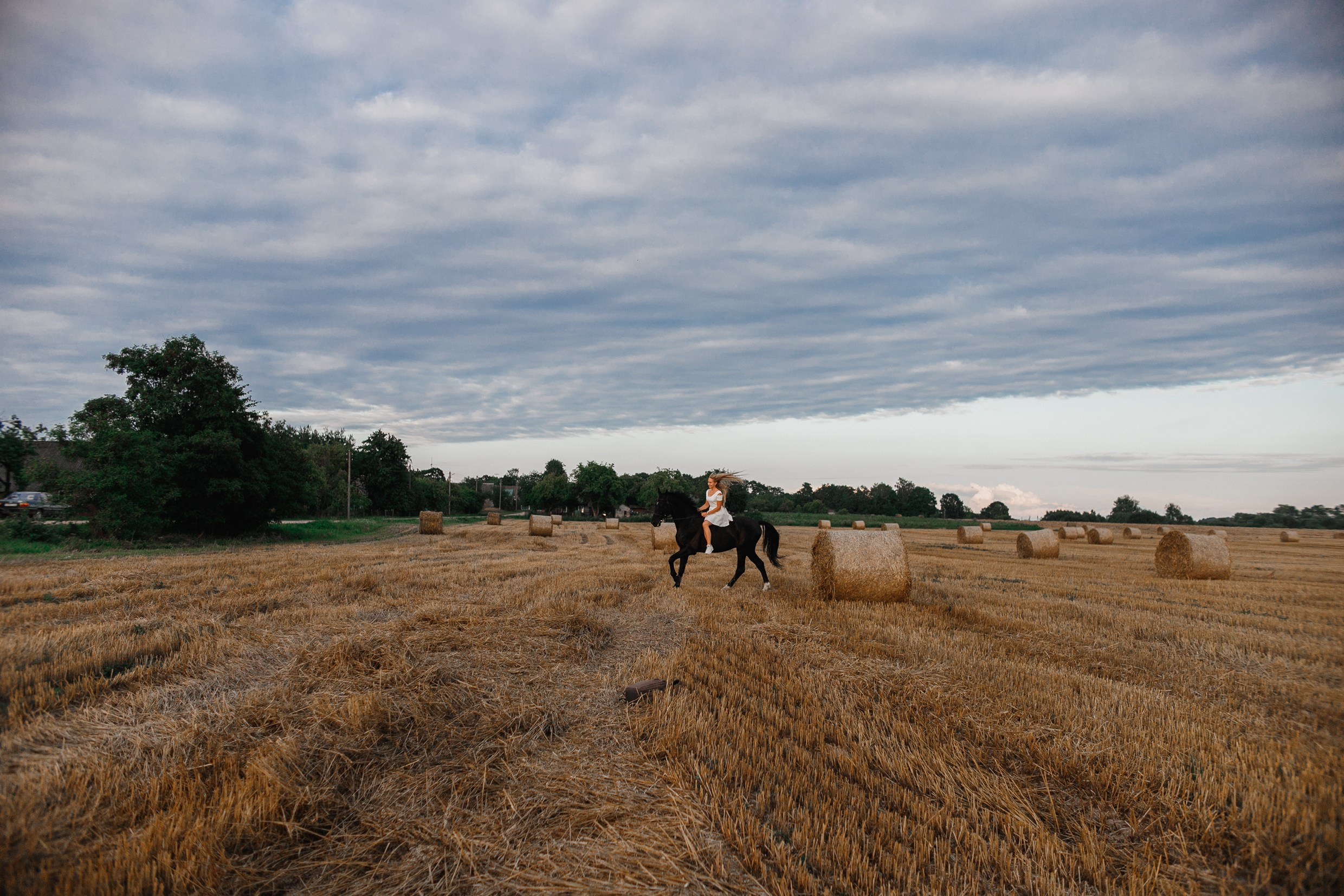 One sunset. Kaja | fotograf psów we Wrocławiu