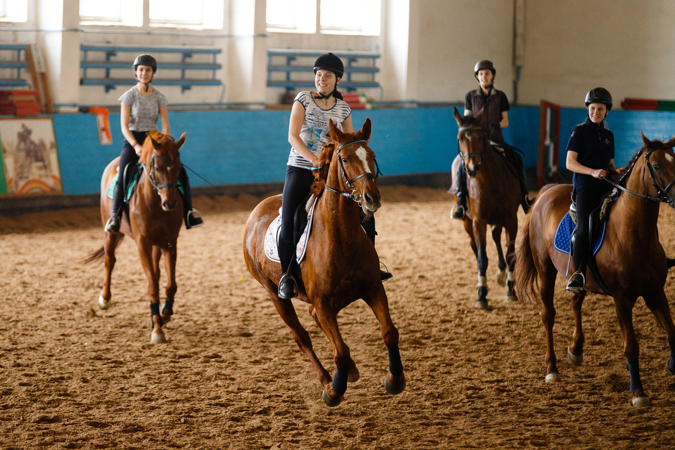 Horse winter games. Kaja | fotograf we Wrocławiu | ludzie i psy