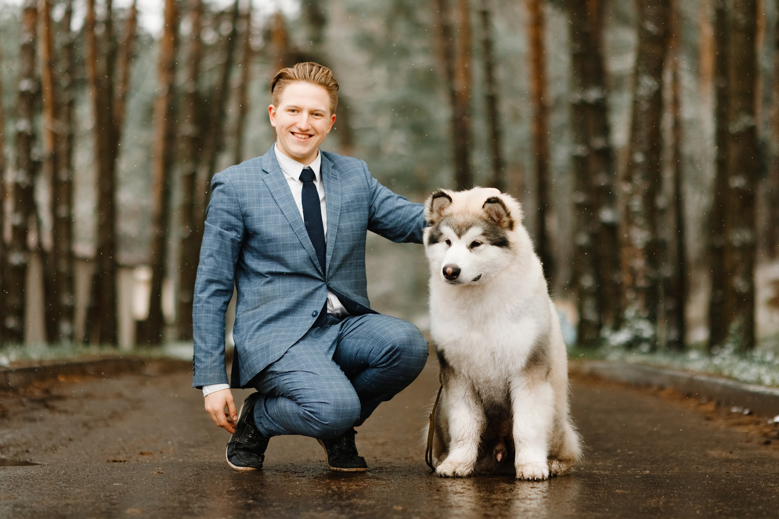 Dog shows | the best ones. Kaja | fotograf psów we Wrocławiu