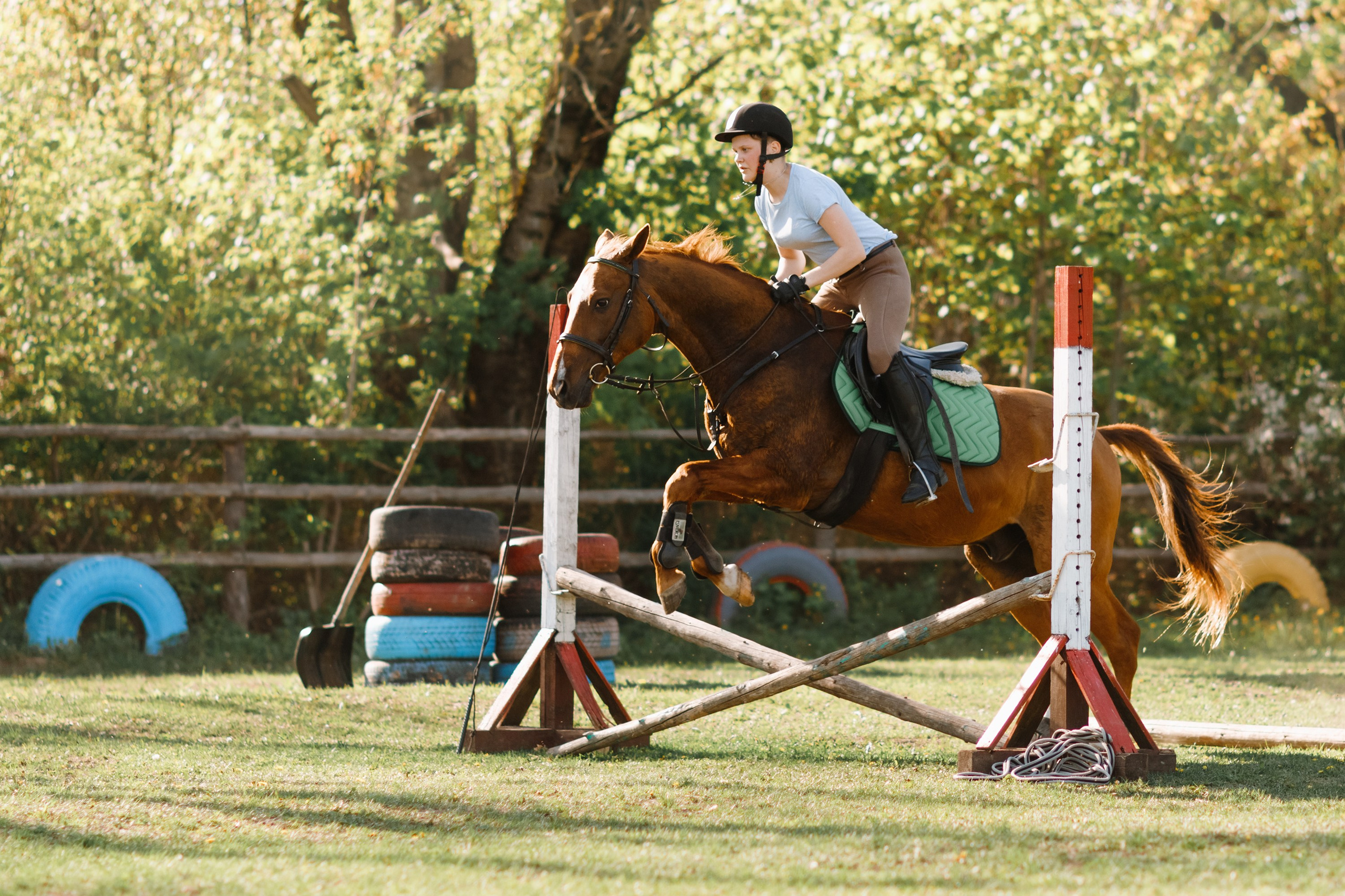 Girls & horses, summer. Kaja | fotograf psów we Wrocławiu