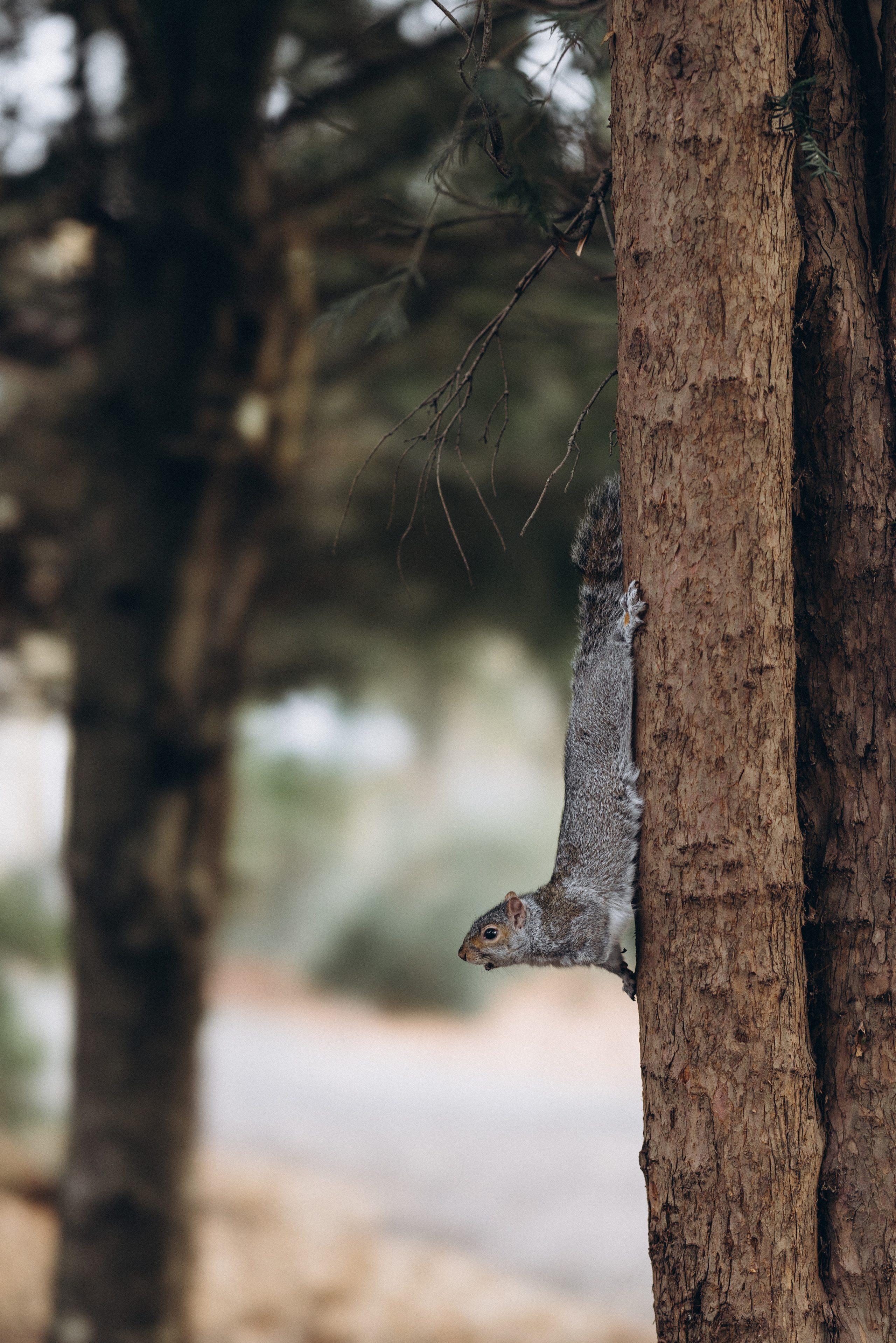 Ksenia & Craig. Anastasia Klink, Photographer in London