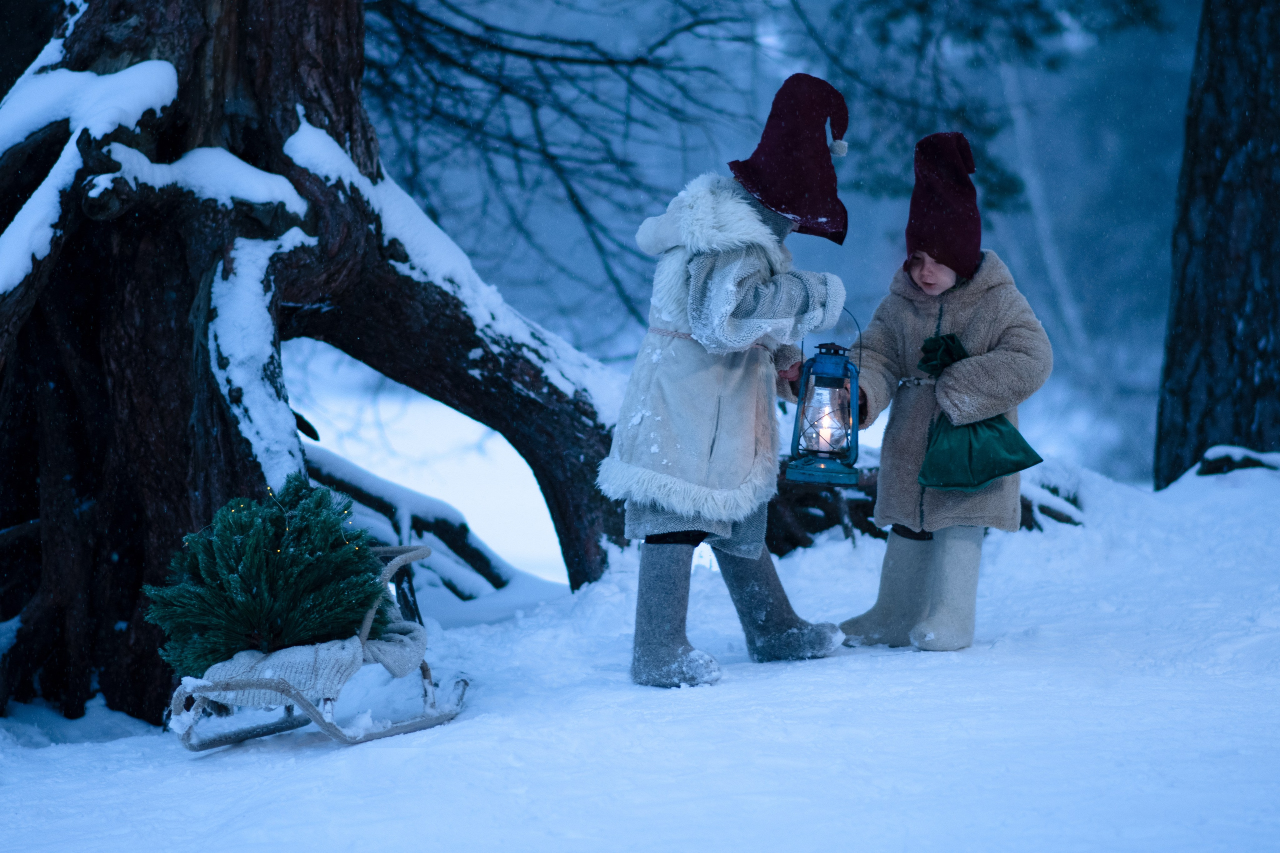 Рождественское чудо. Семейный и детский фотограф