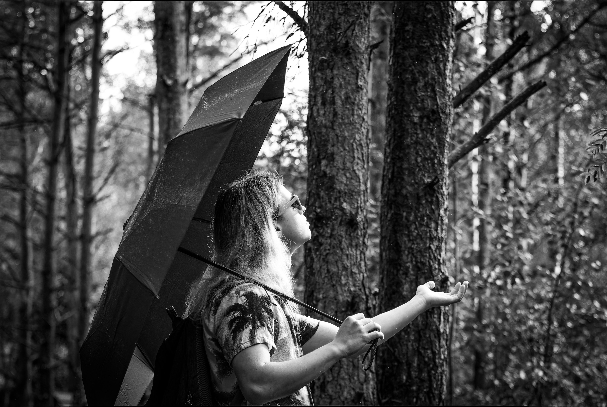 Mets, vihm ja jahedus (Dimitry). Nebula 25 — Fotod teie hingele