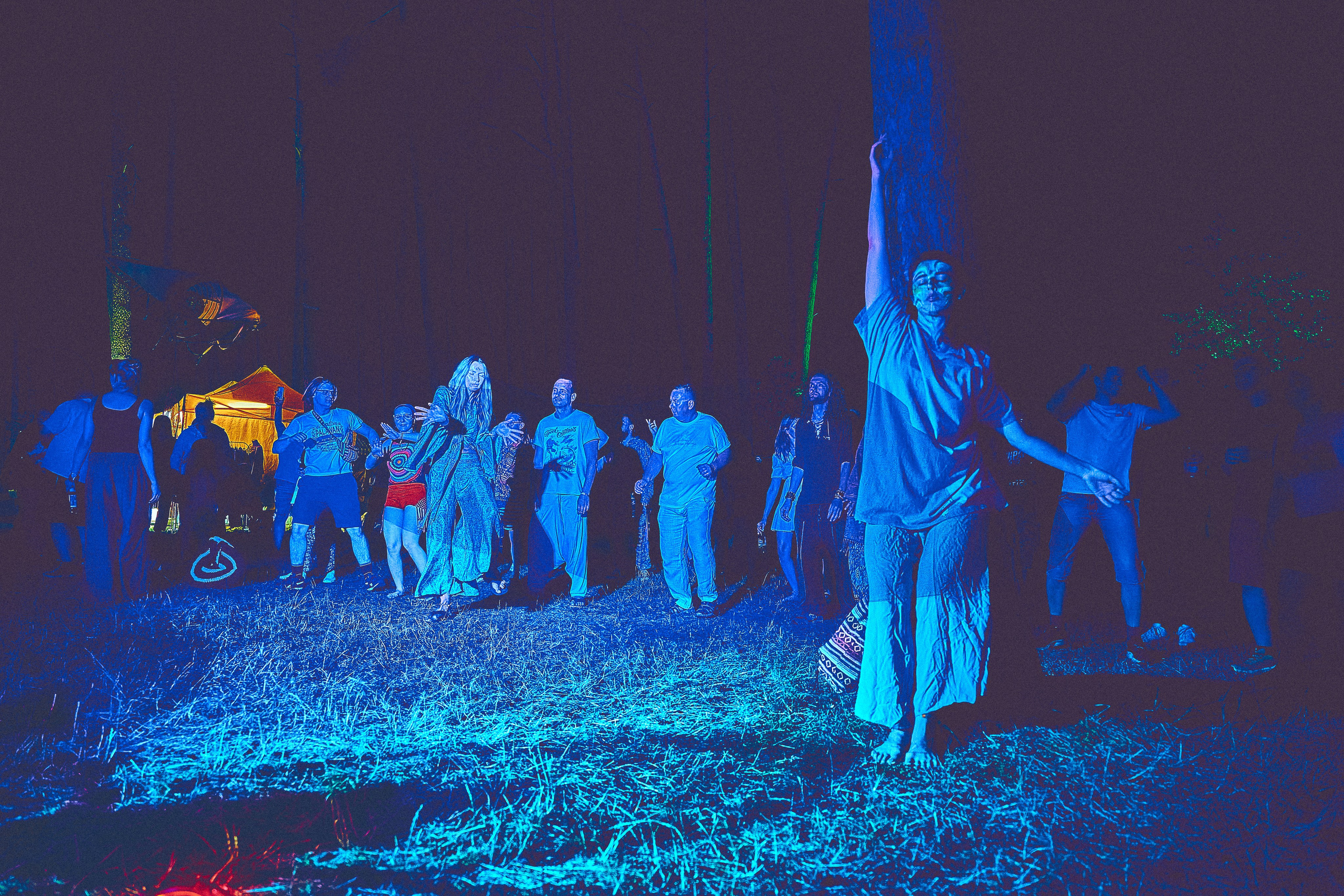 Organic-2025. Andriej Szypilow — Photography & Videography