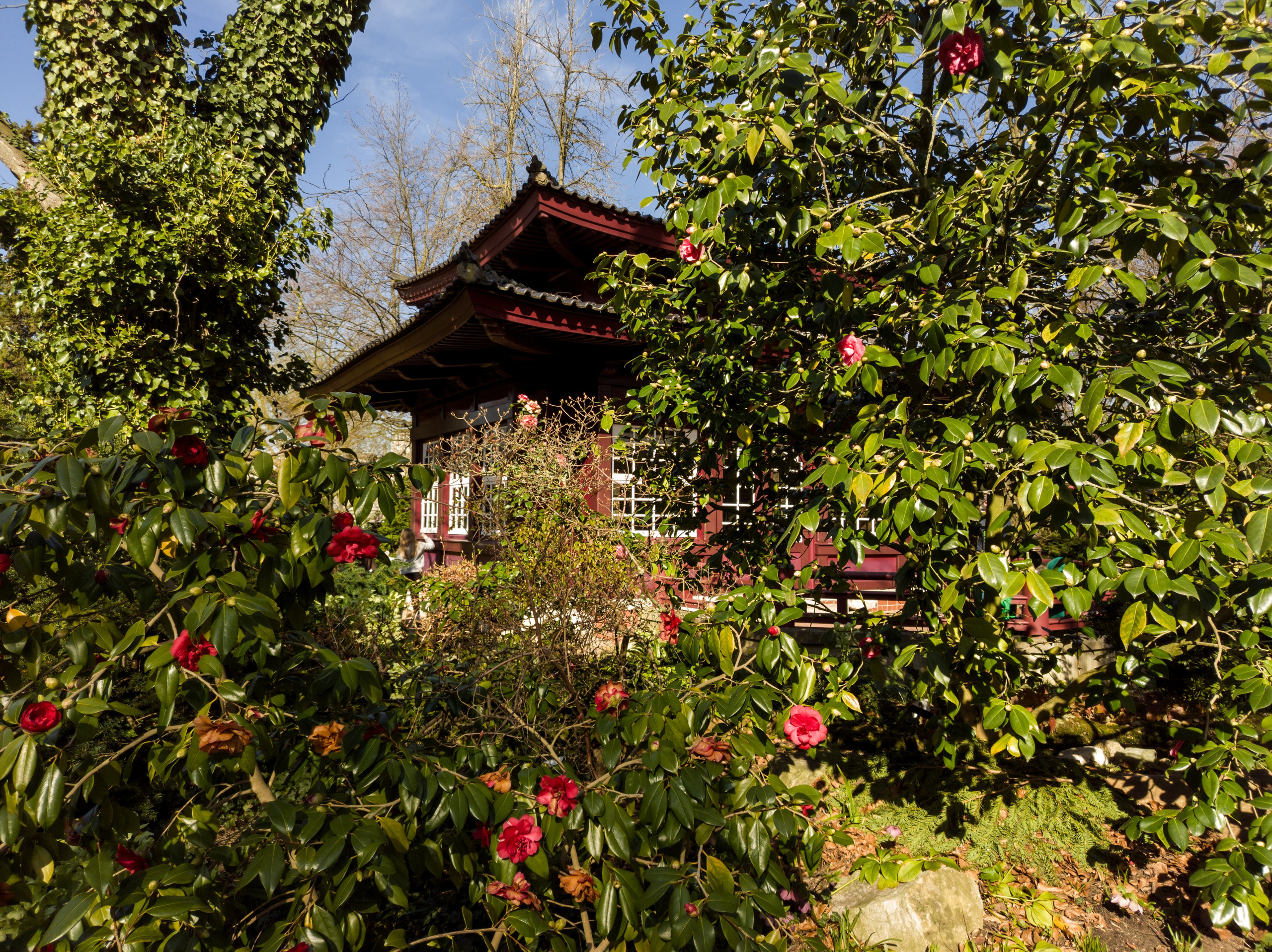 Cologne (Germany) Leverkusen. Fotograf in Köln, Bonn, Düsseldorf, Krefeld