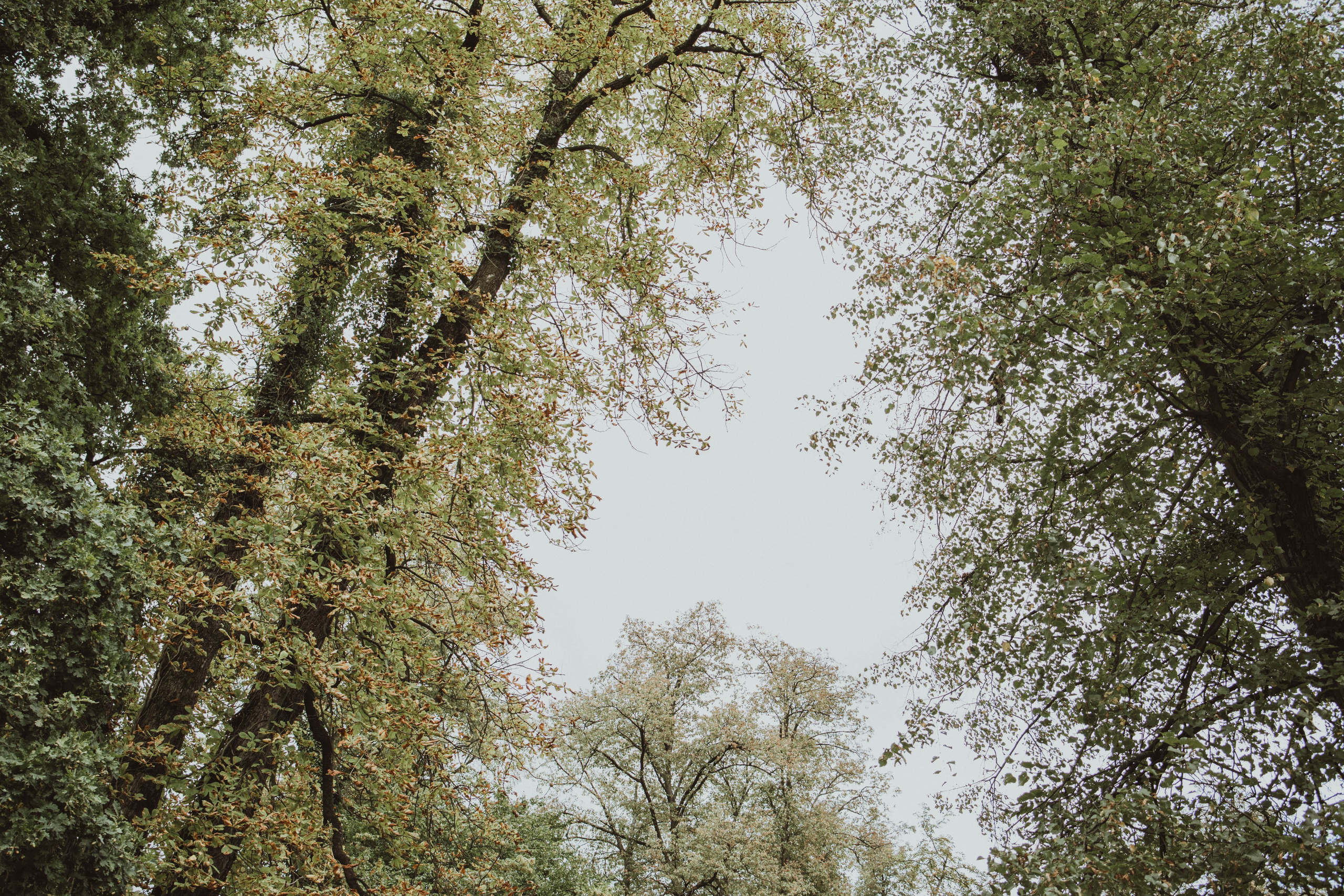 JULIA DAWID. Fotograf Mykhalchuk Inna Kraków