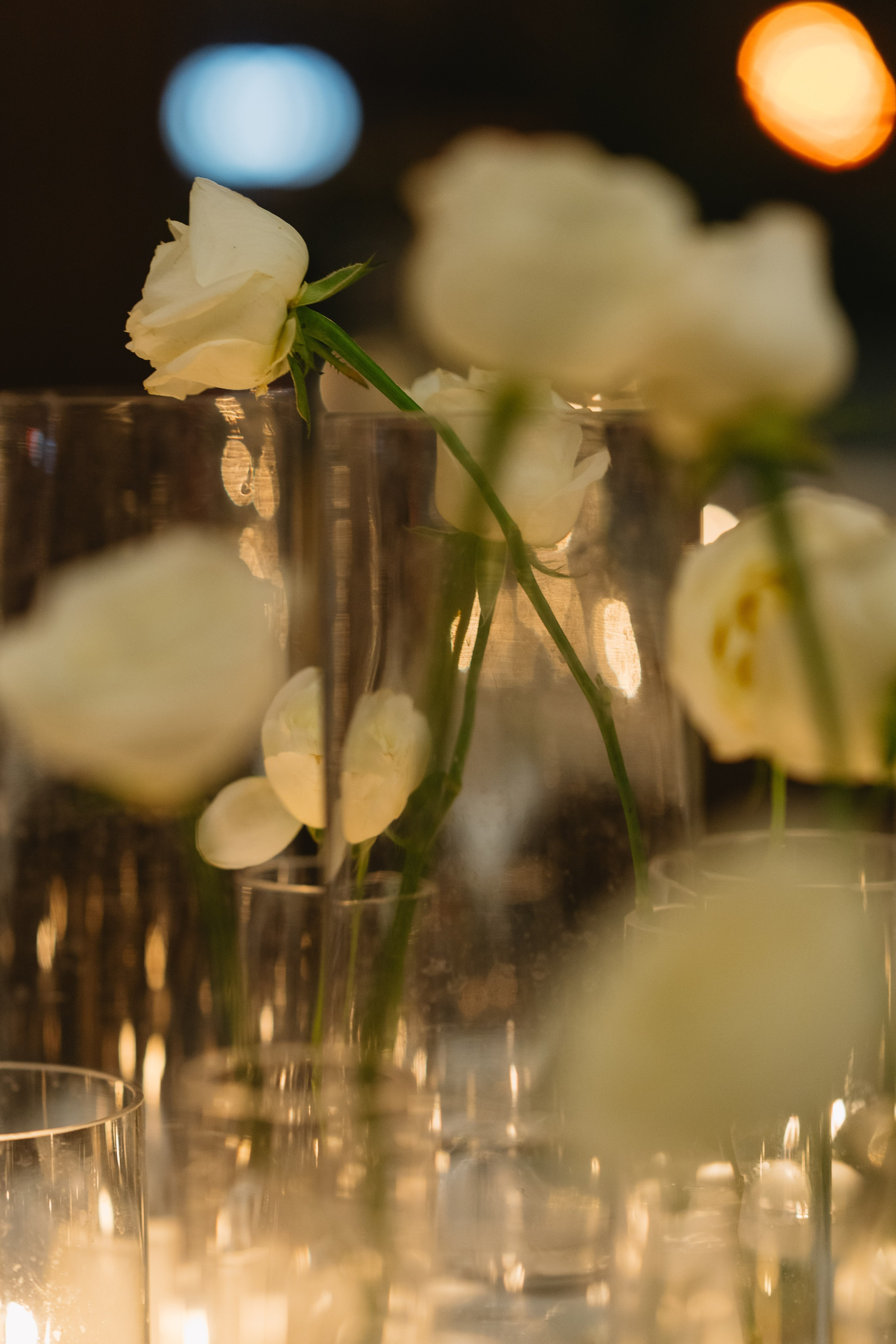 Interior & Venue. Portrait & Event Photography | Israel | David Shafirov