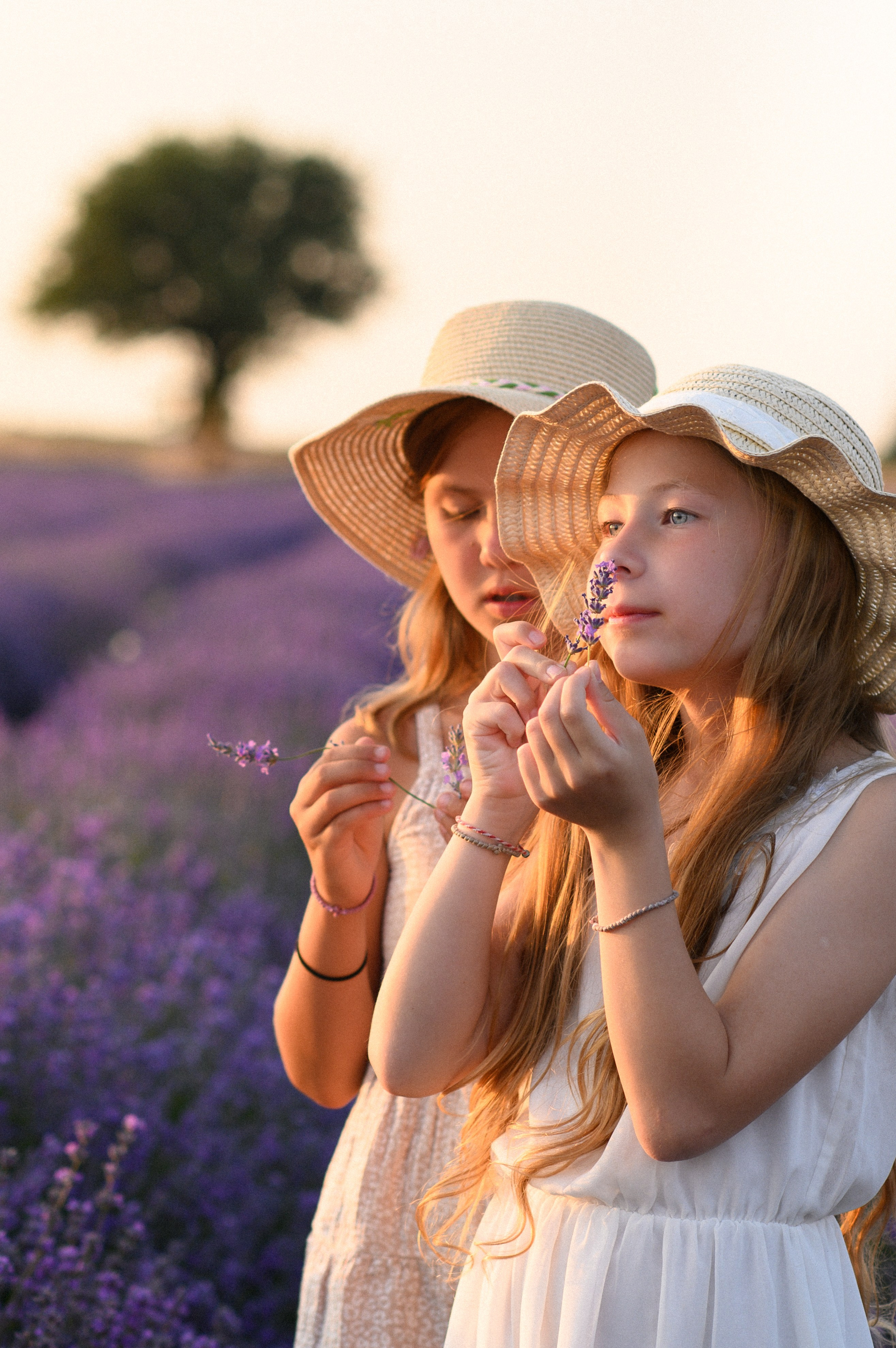 Lavender Field. Семейная, детская, портретная и предметная фотосъемка в Салониках