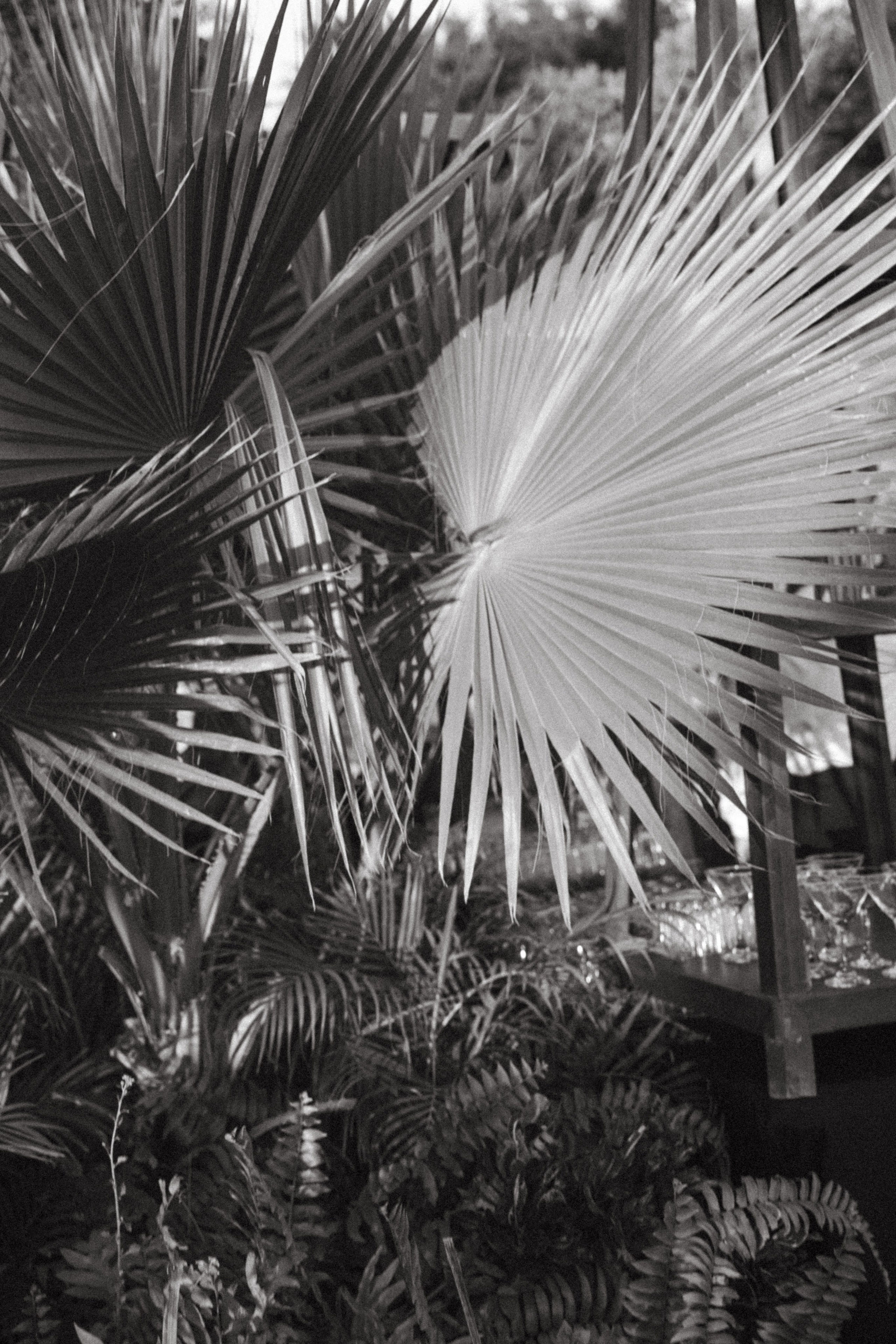 Martoca Beach Garden. Wedding photographer Mexico Sayulita Puerto Vallarta Punta Mita Cabo