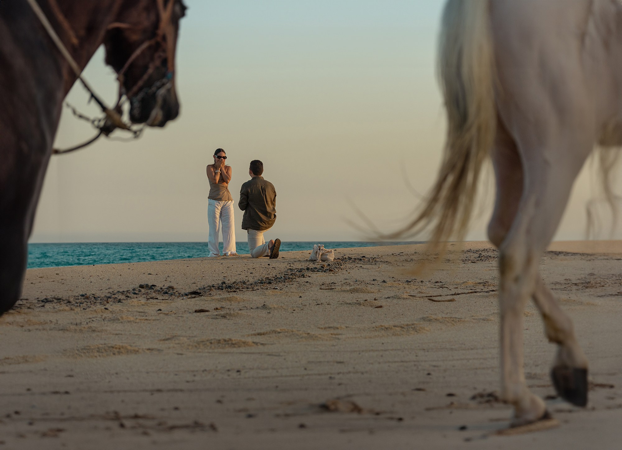 Marriage proposal in Cabo San Lucas – groom on one knee at sunset by the ocean with horses in foreground, cinematic beach engagement photography in Los Cabos