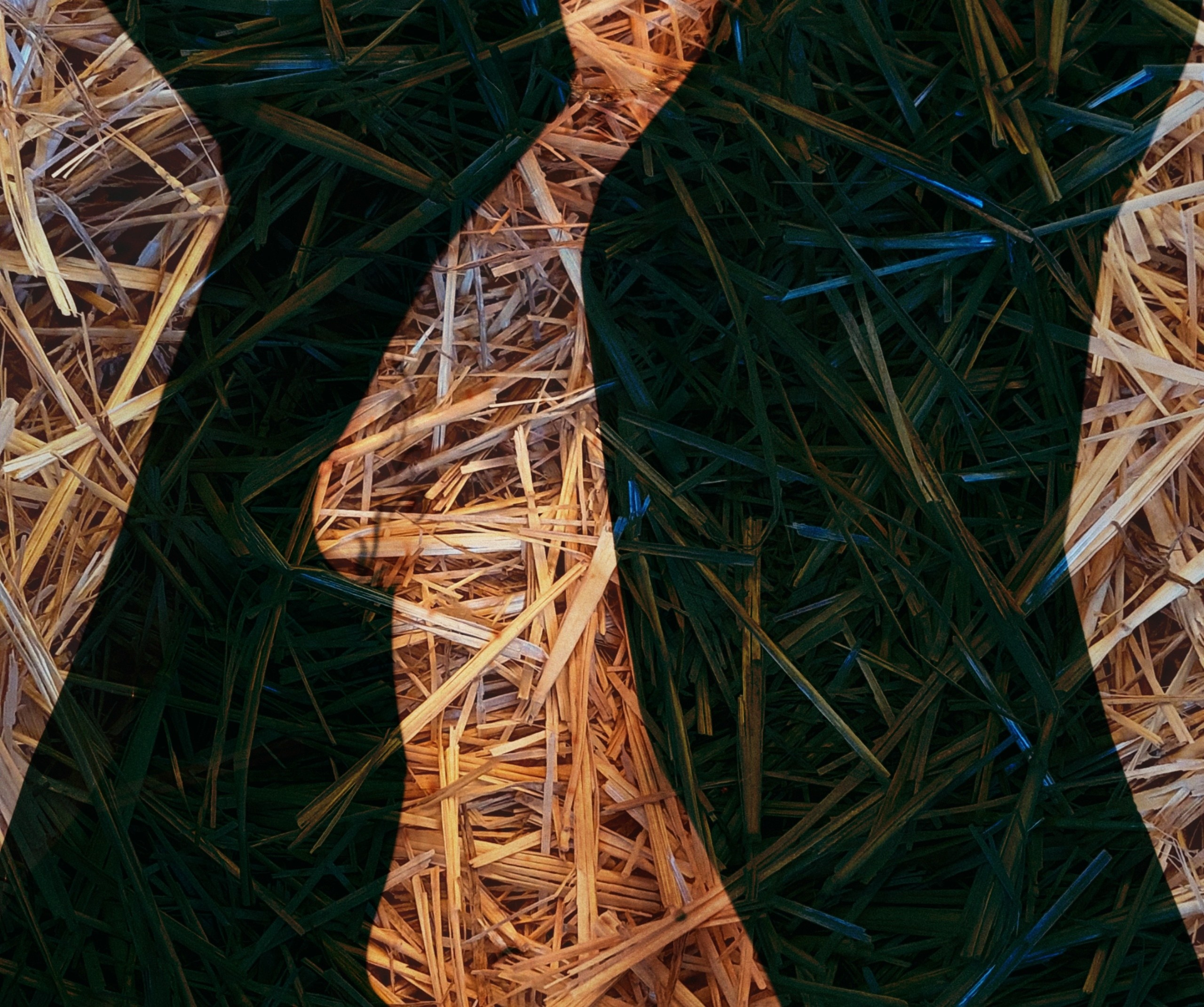 Продаж робіт. Photographer artist Liashenko Oksana