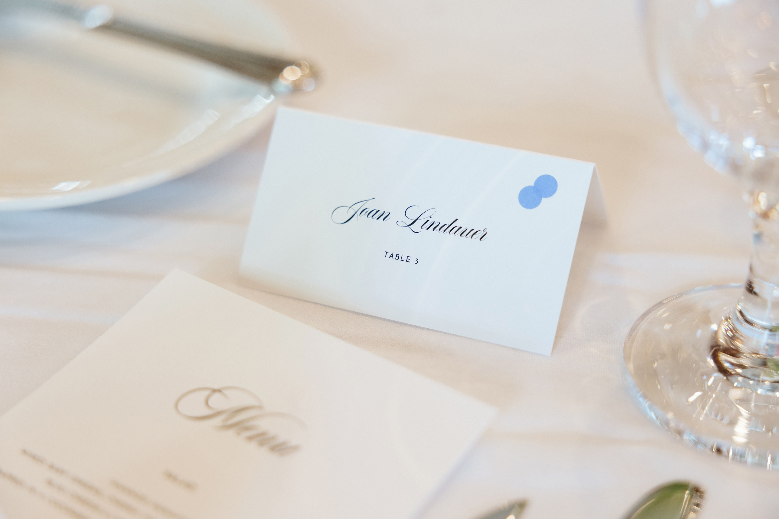 06.14.2025 Wedding. Wedding family event photographer in Chicago Nick Yushevich