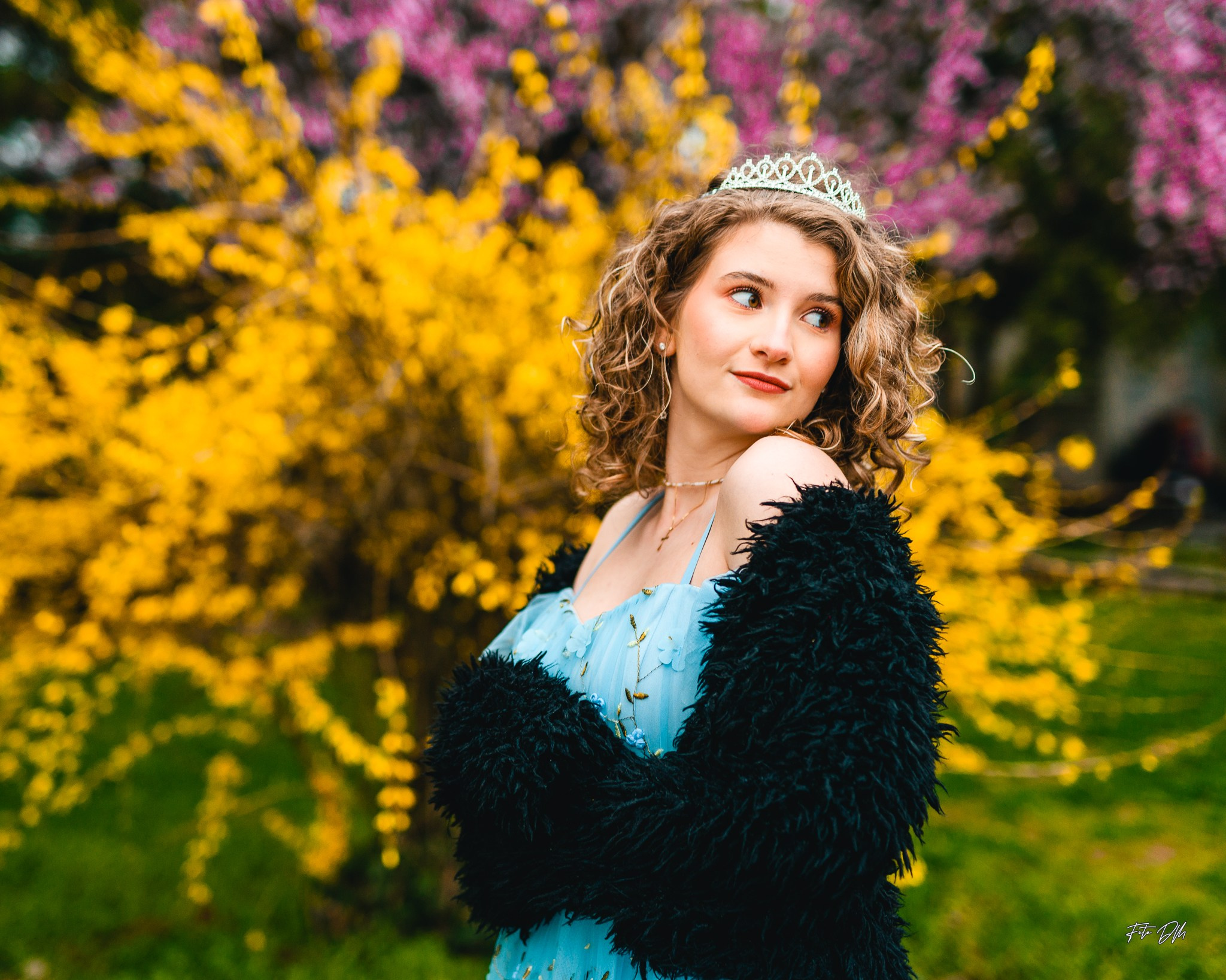 Alesia. Fotografie & Videografie de nuntă în Timișoara