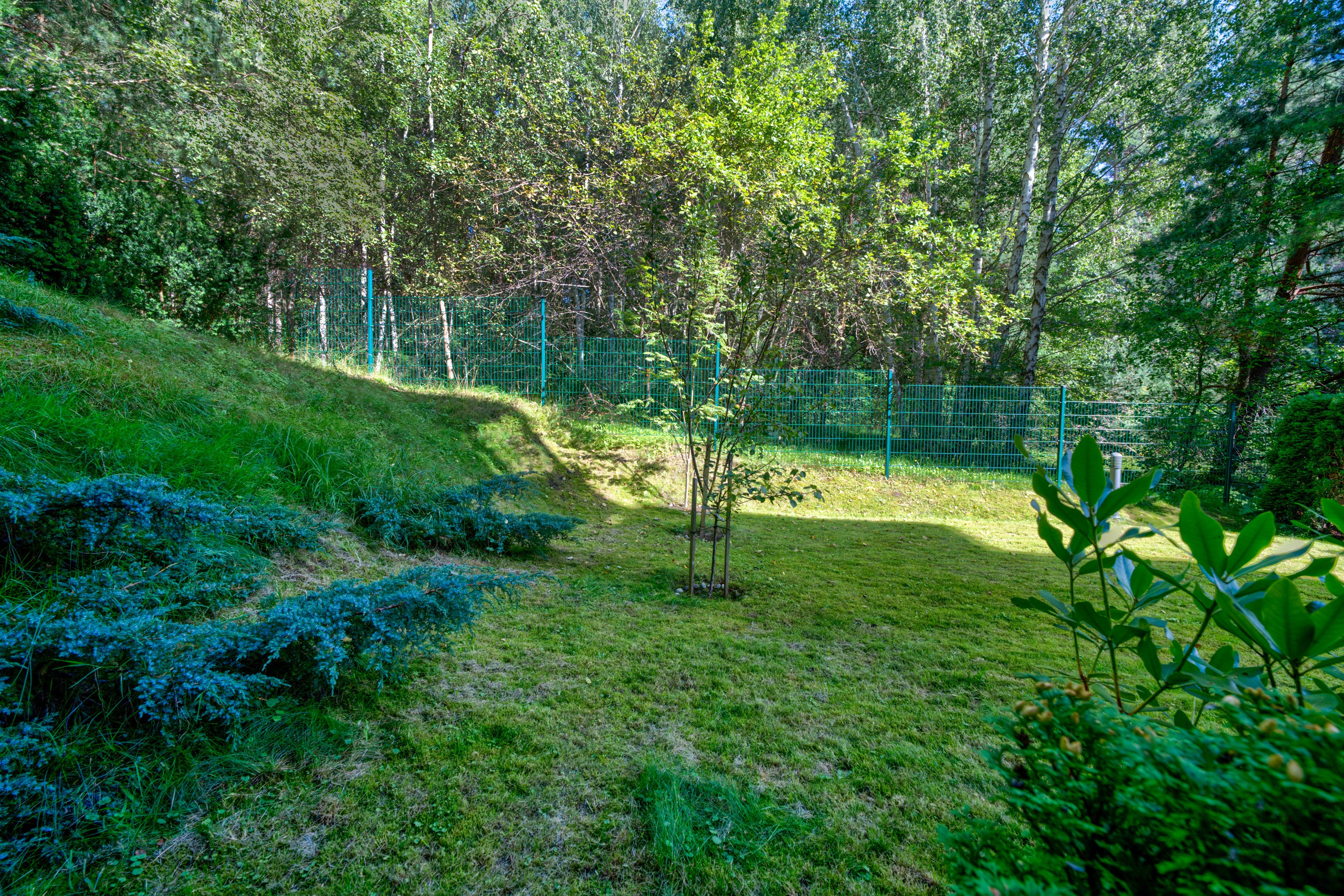 Mokslininkų g. 7. Elina Sapiega fotografė Vilniuje