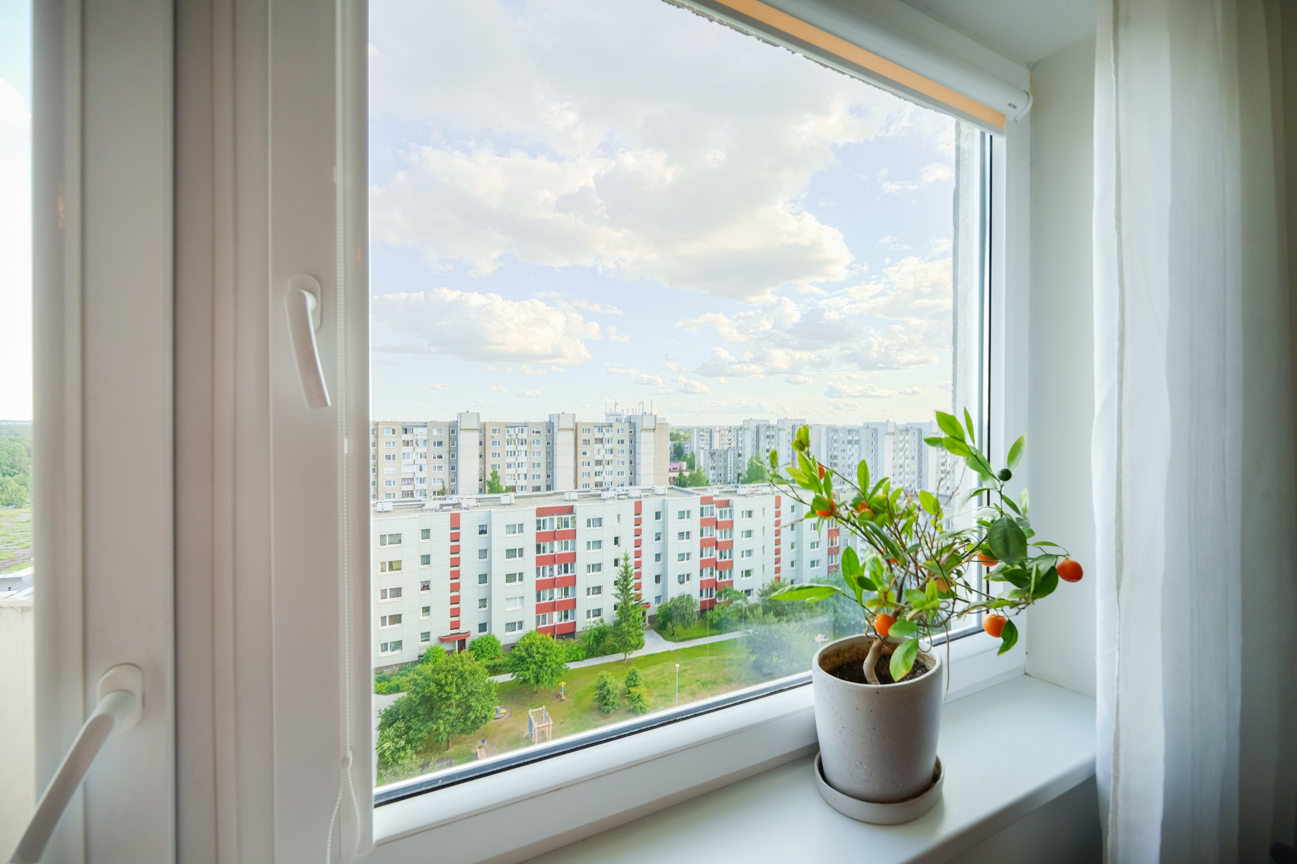 Papilenų g. 11. Elina Sapiega fotografė Vilniuje