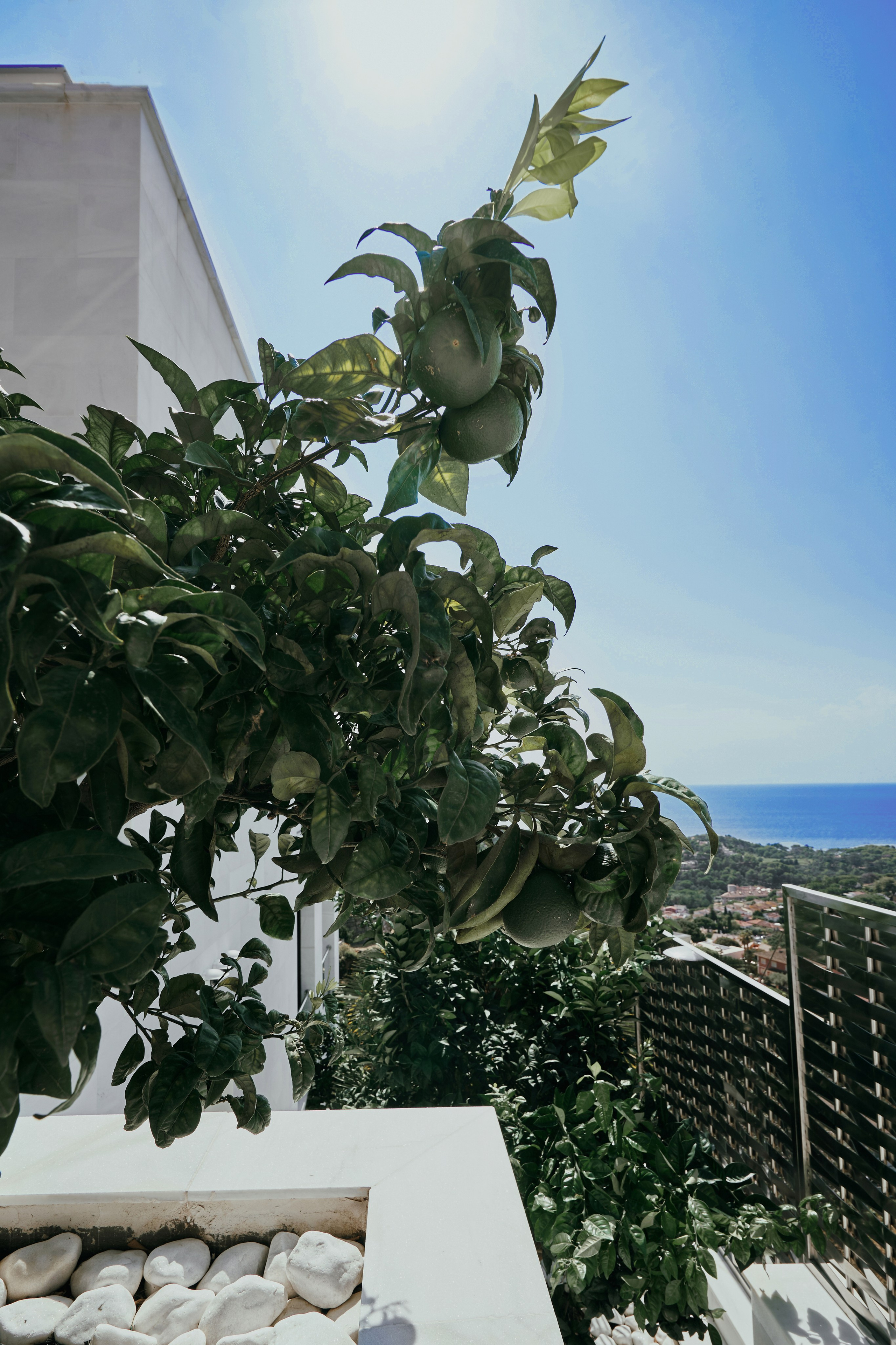 House 1. Фотограф в Барселоне Жанна Захарченко