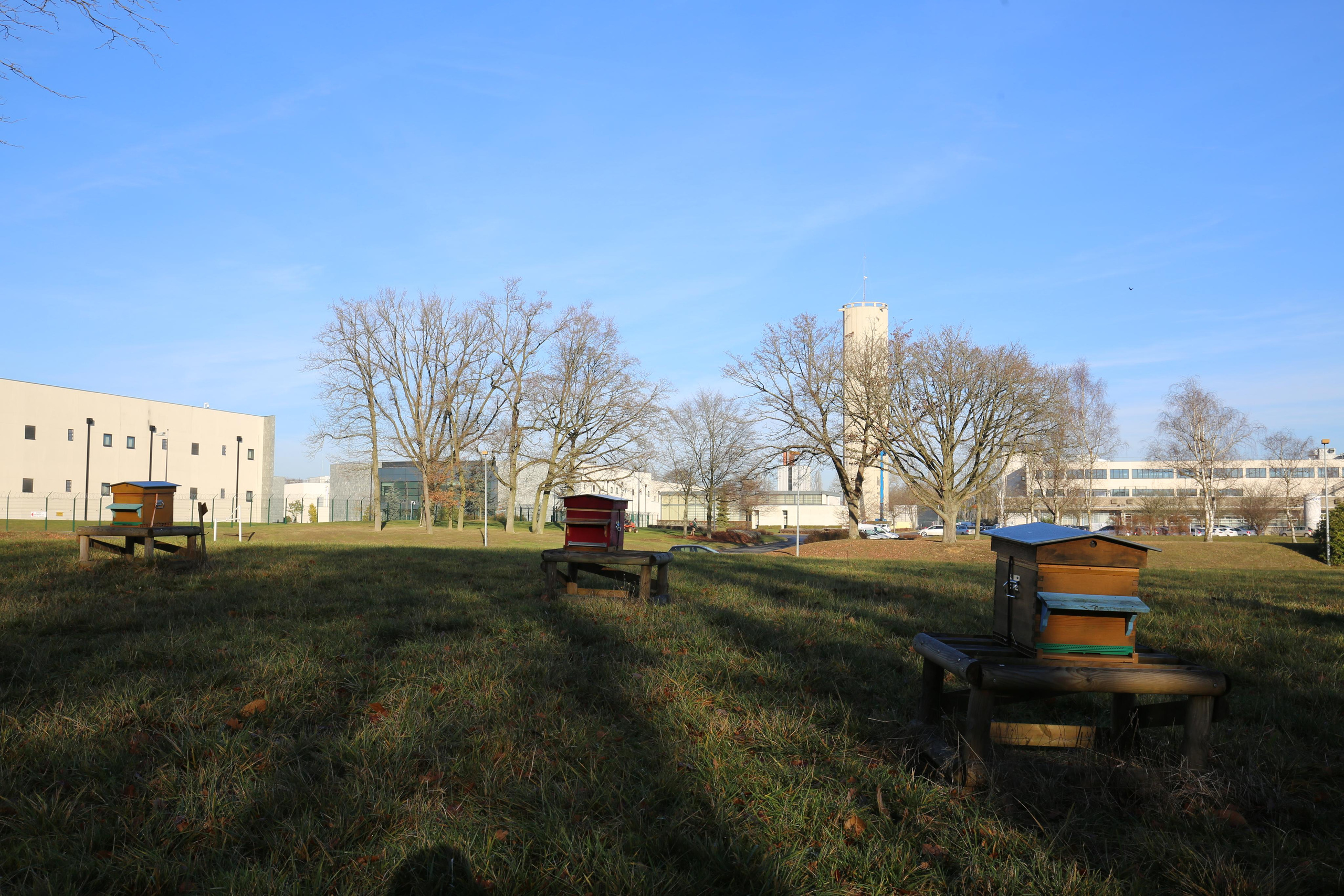 Série CHANTIER. Quand la ville envahira la forêt  