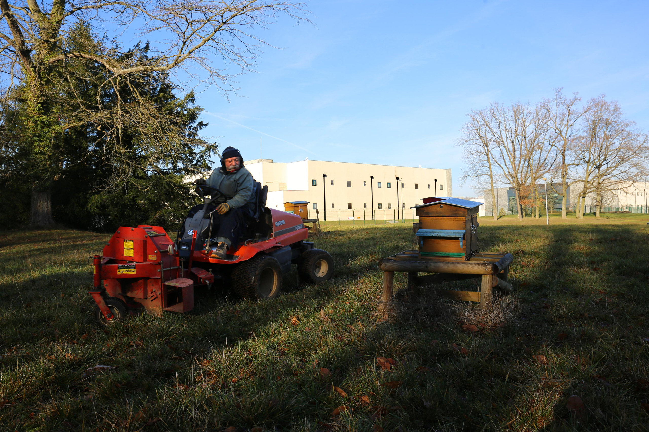Série CHANTIER. Quand la ville envahira la forêt  