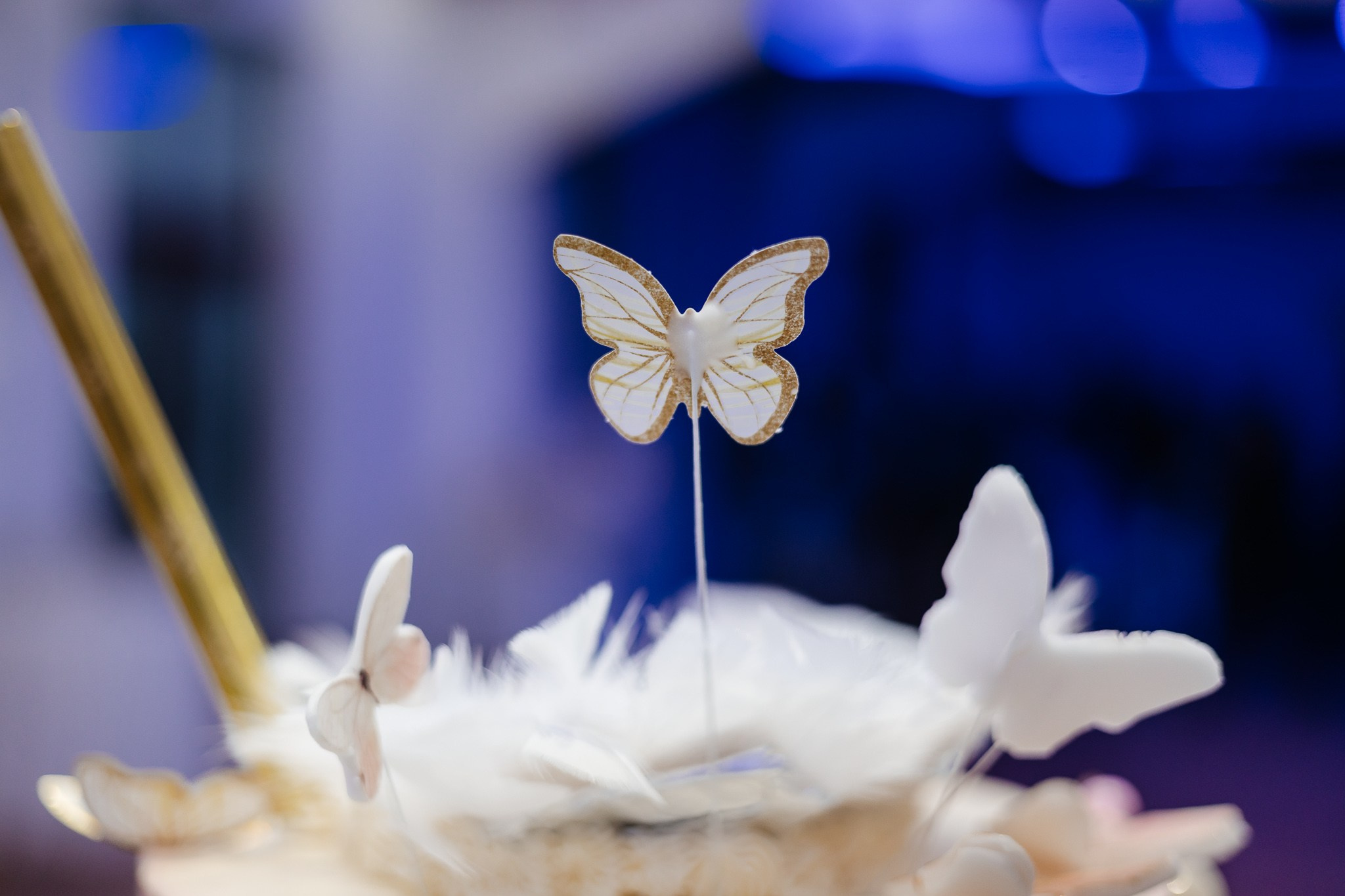 Minuni Cuminți. Fotograf Profesionist Piatra Neamț, Roman, Târgu Neamț, Bicaz, Neamț | Studio, Nuntă, Botez, Eveniment | FotoACTIV