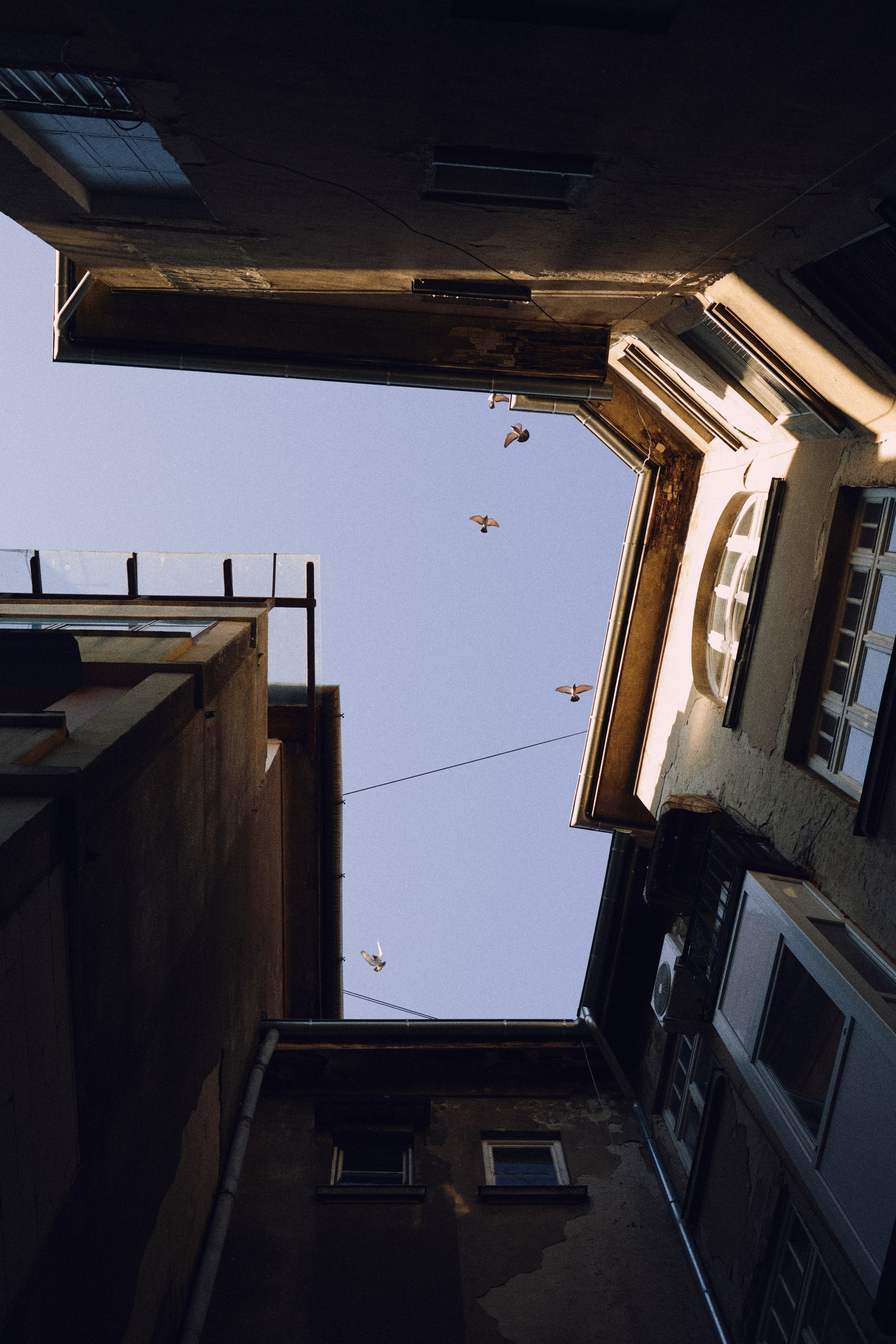 Городской исследователь: Фотосессия Петра в Нови Саде | Фотограф Анастасия Еремина. Анастасия Еремина | Фотограф в Сербии | Персональные и бизнес-фотосессии в Белграде и Нови Саде