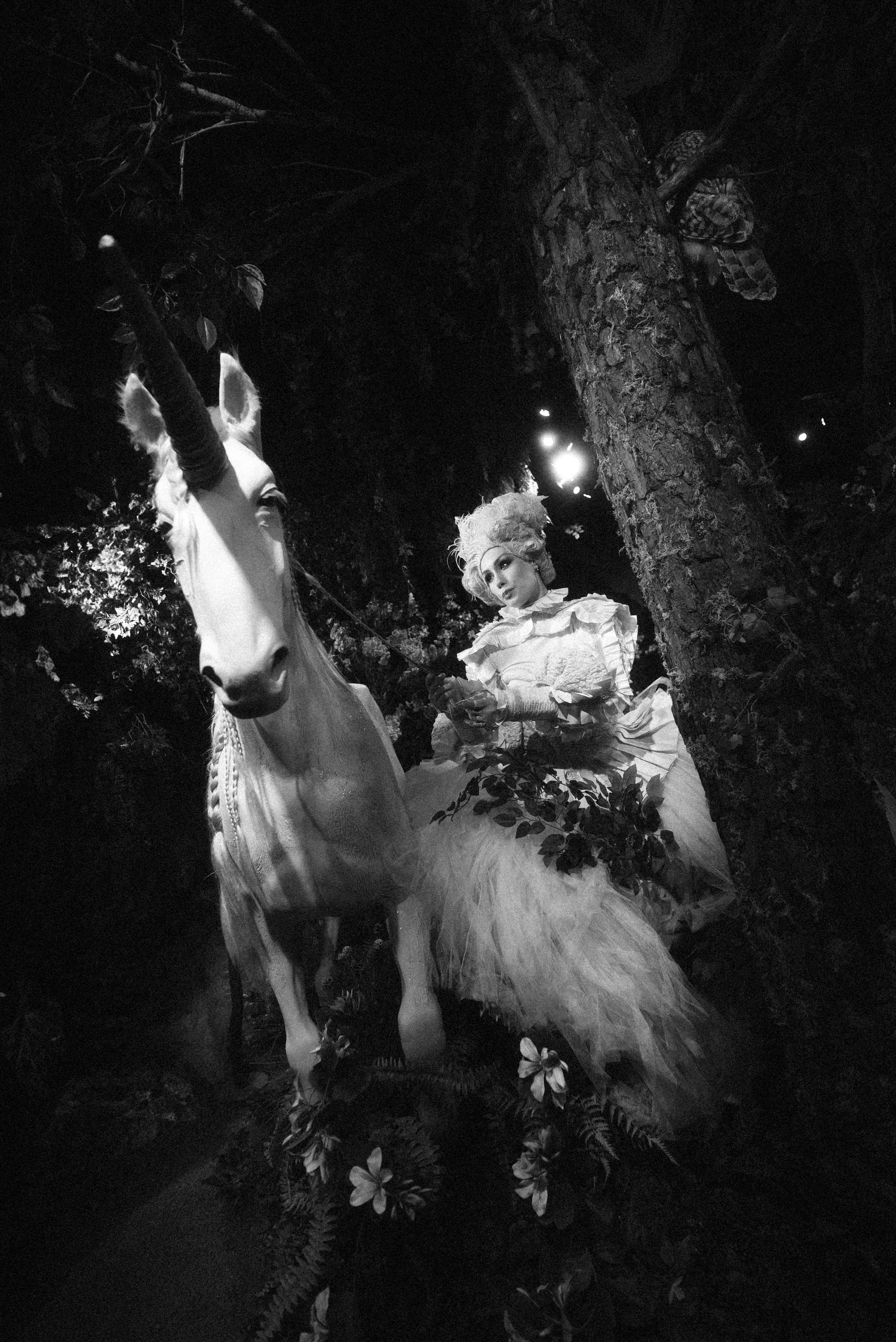 2025. Стрит-фотография, полная абсурда, идиотизма и красоты