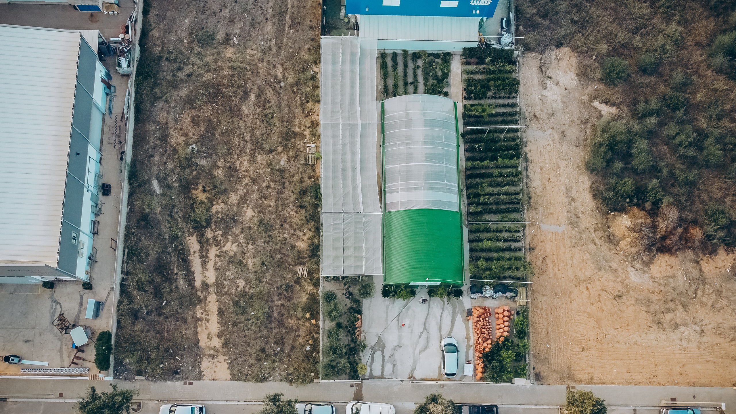 Centro Jardin. Photographer in Mallorca