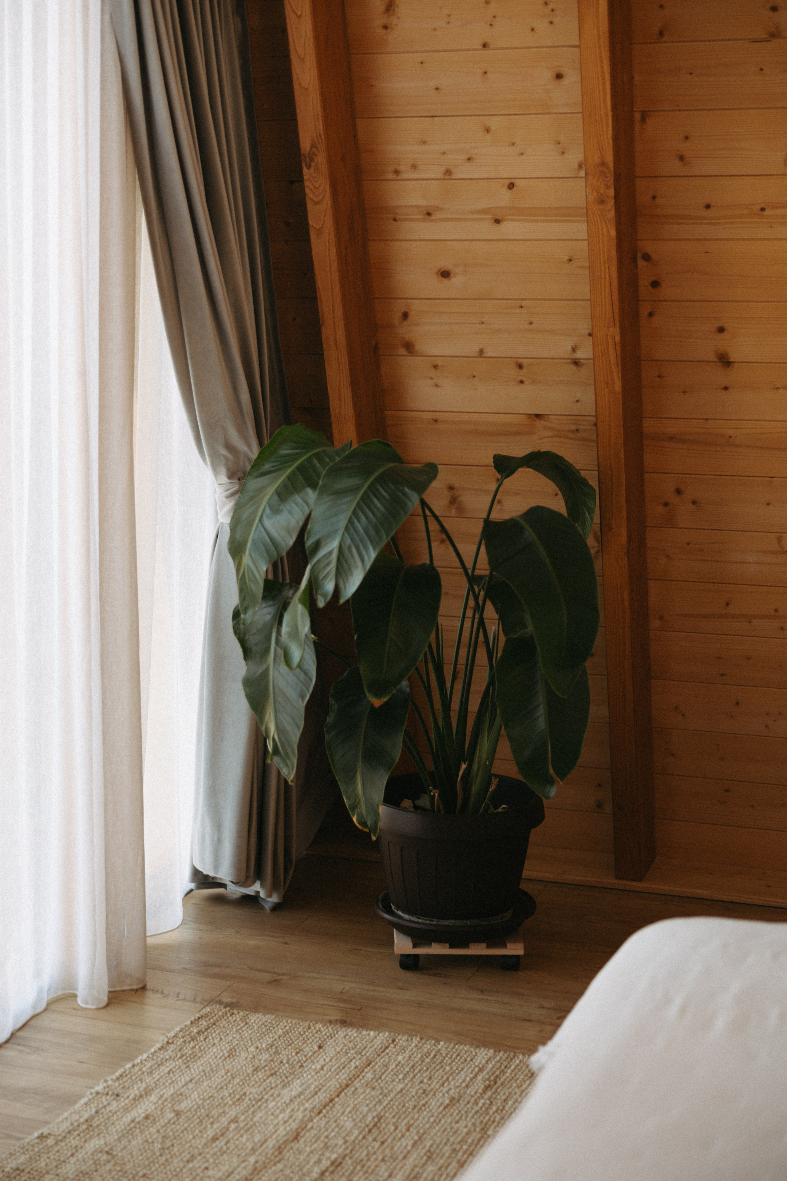 Amont Chalet. Patricia Morenci — Mountain Adventures for the Wild at Heart