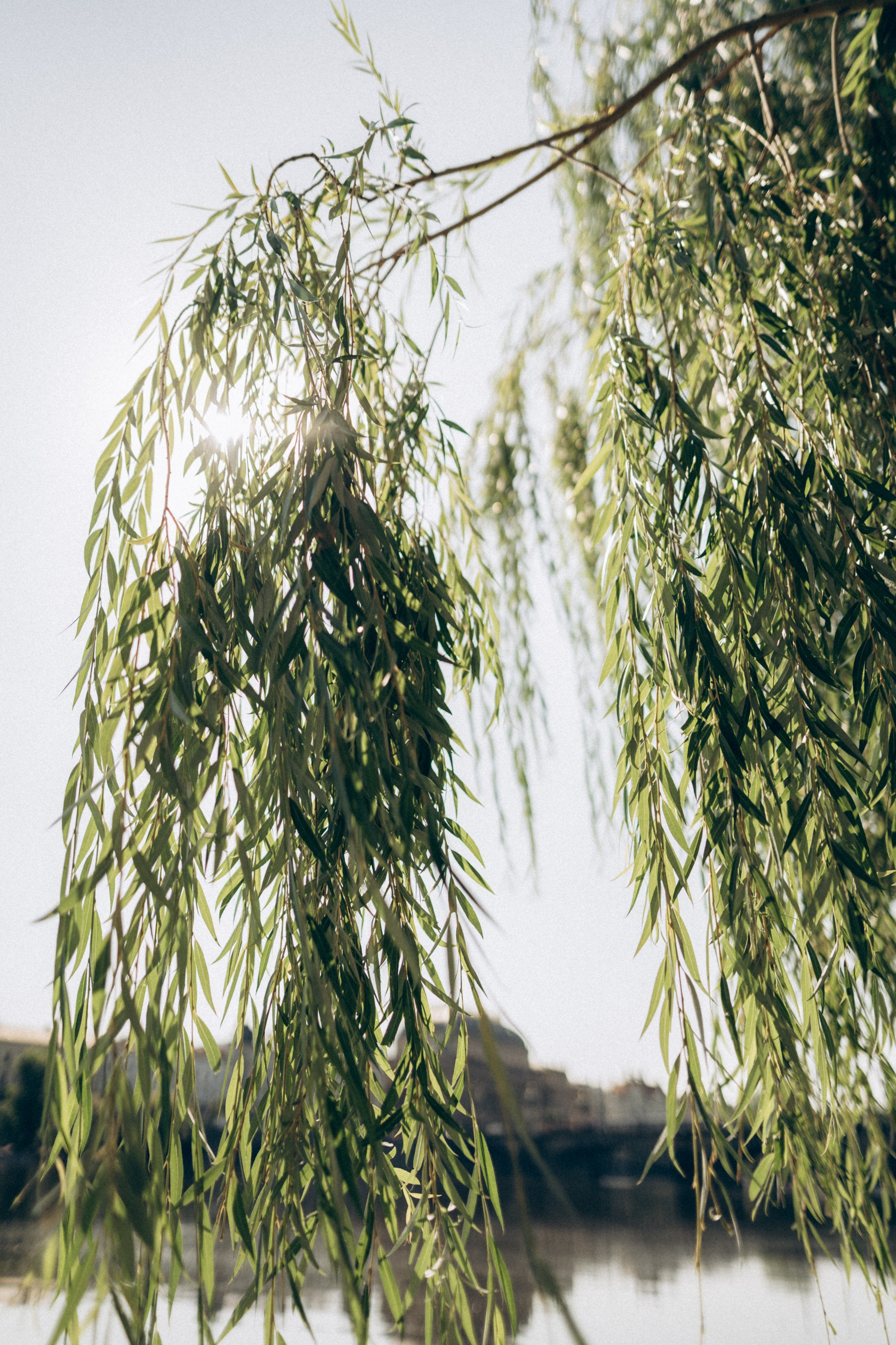 . Фотограф в Праге Анна Лебедева