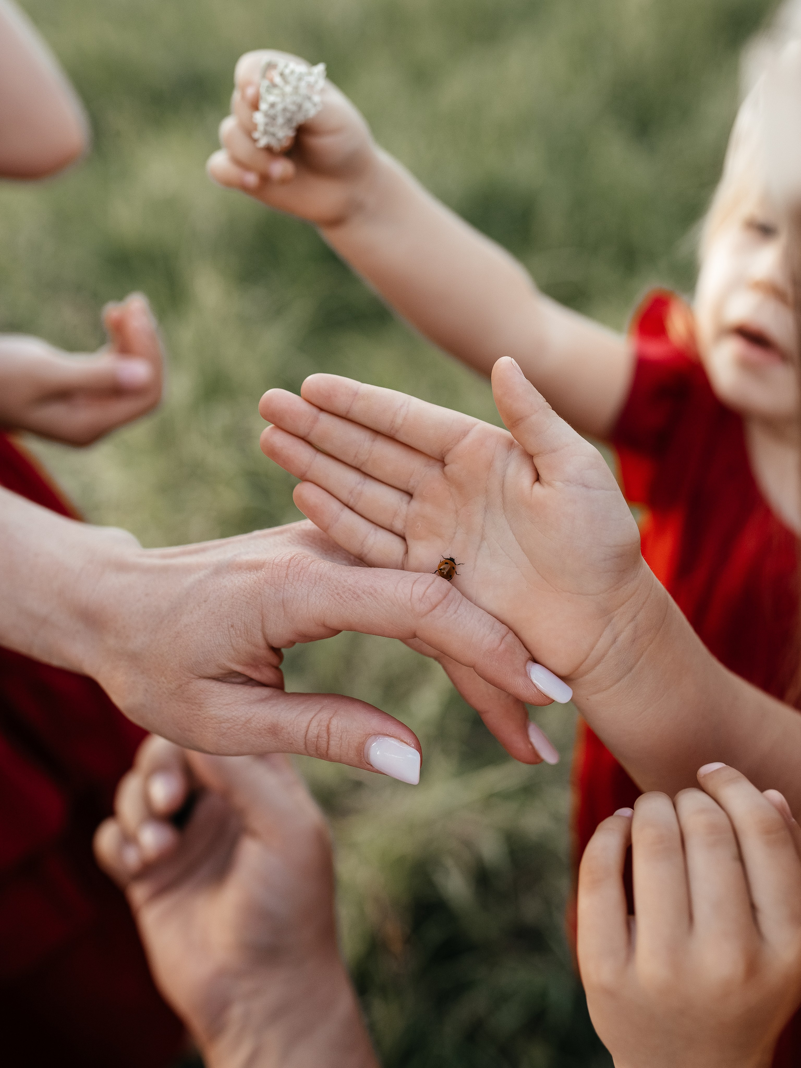 Familienfotografin. Familien-, Hochzeits- und Newbornfotografin Neustadt an der Weinstraße