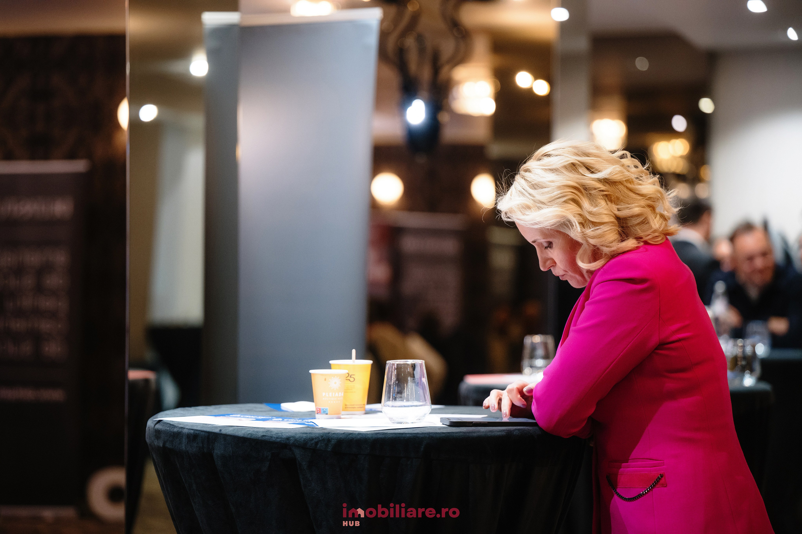 Imobliare HUB. Laurentiu Stefan StoryTeller