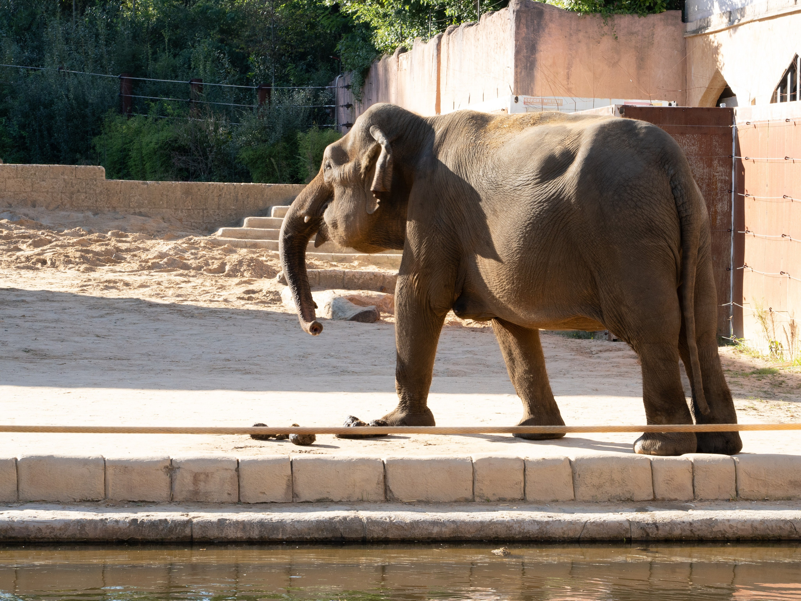 Tierwelt. Bürgerreporter & Amateurfotograf in Hannover