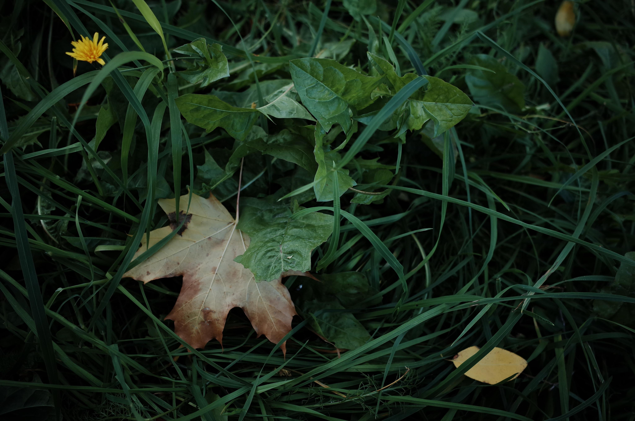 Little magic everythere. Victoria Dini. Art photography in London / Folkestone, UK