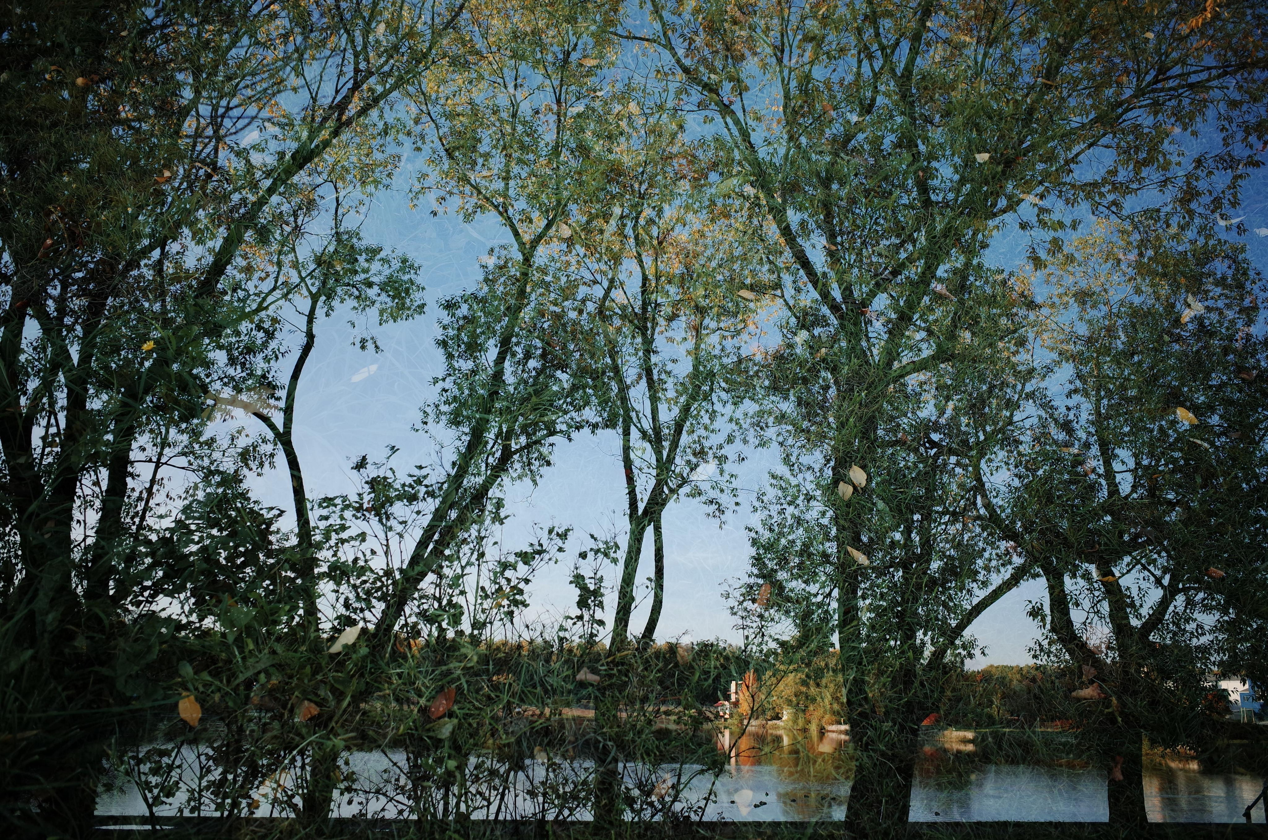 Little magic everythere. Victoria Dini. Art photography in London / Folkestone, UK