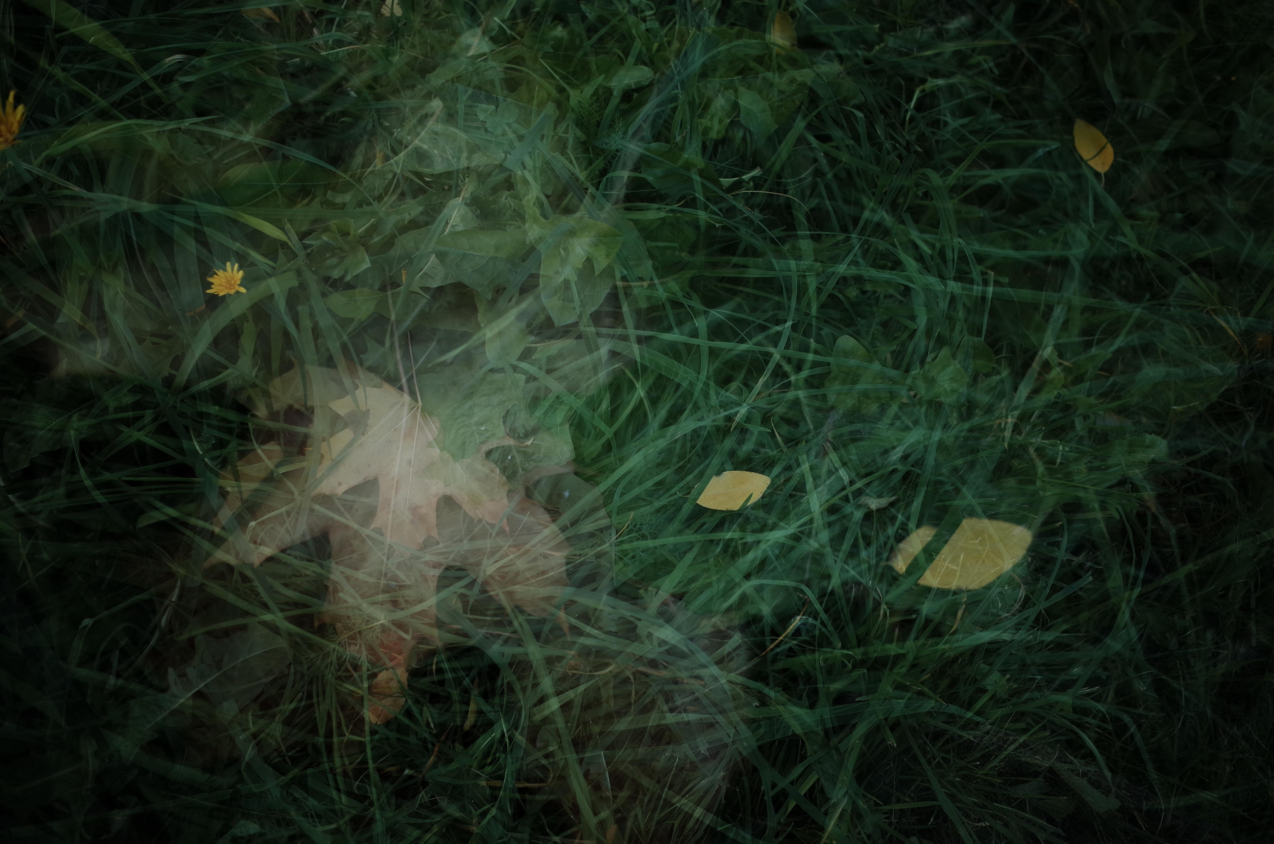 Little magic everythere. Victoria Dini. Art photography in London / Folkestone, UK