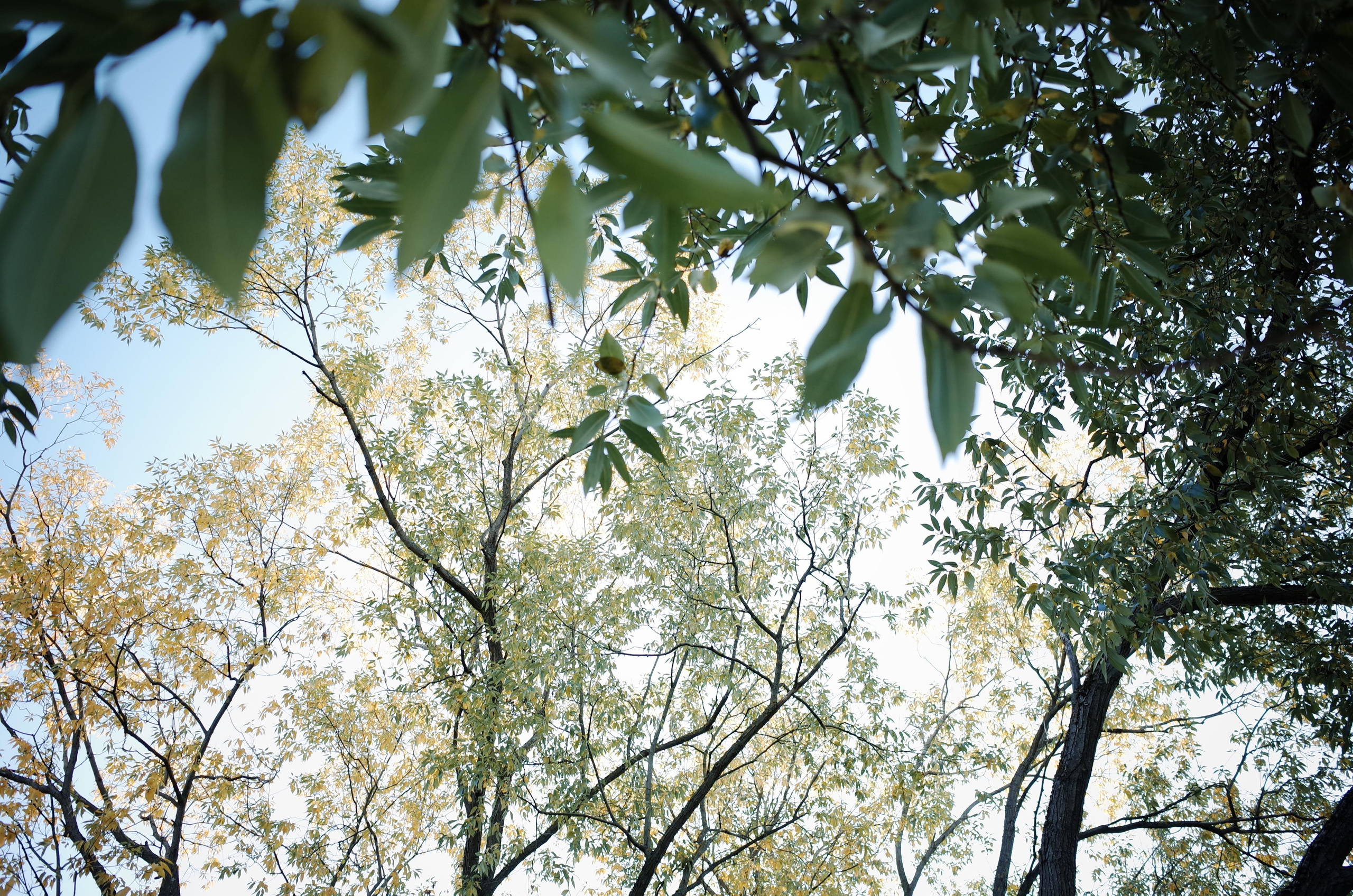 Little magic everythere. Victoria Dini. Art photography in London / Folkestone, UK