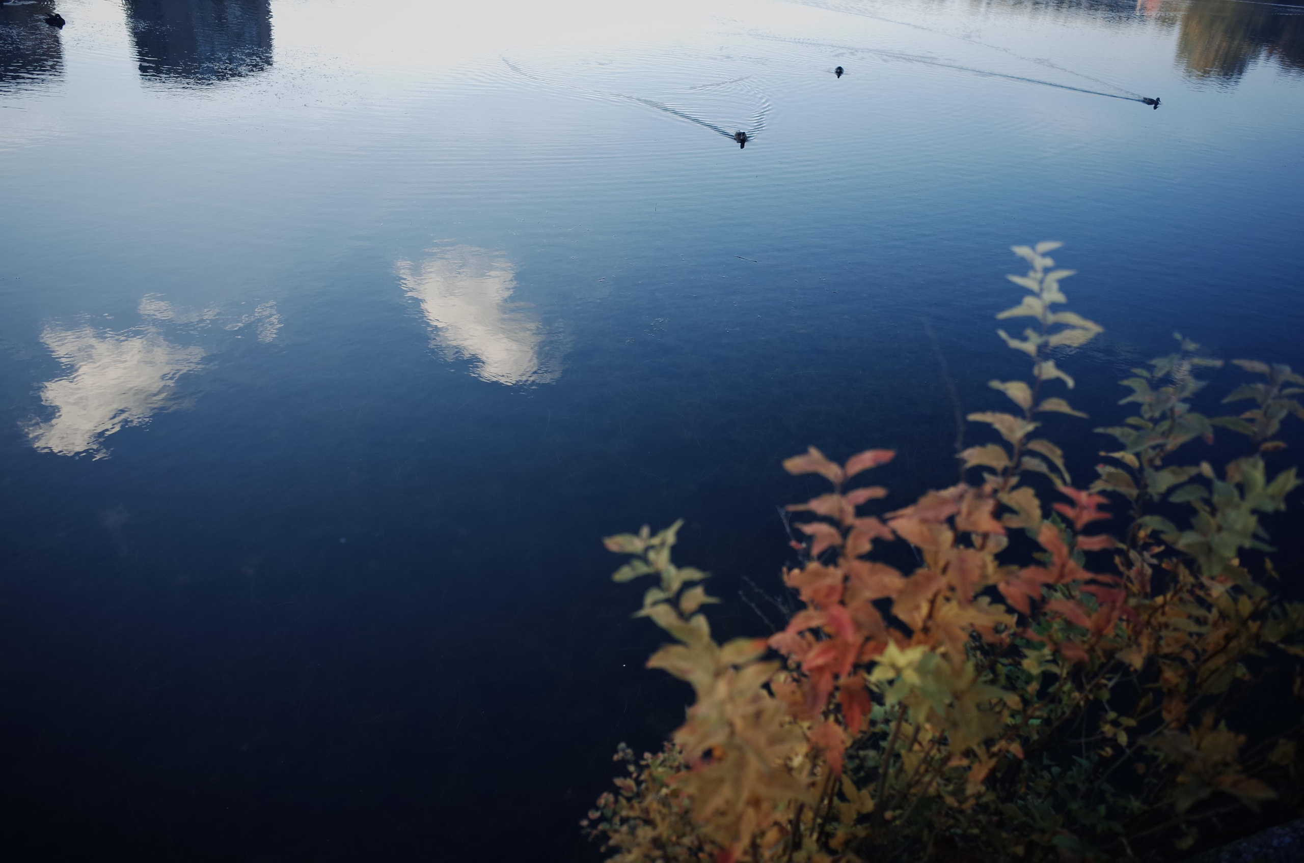 Little magic everythere. Victoria Dini. Art photography in London / Folkestone, UK