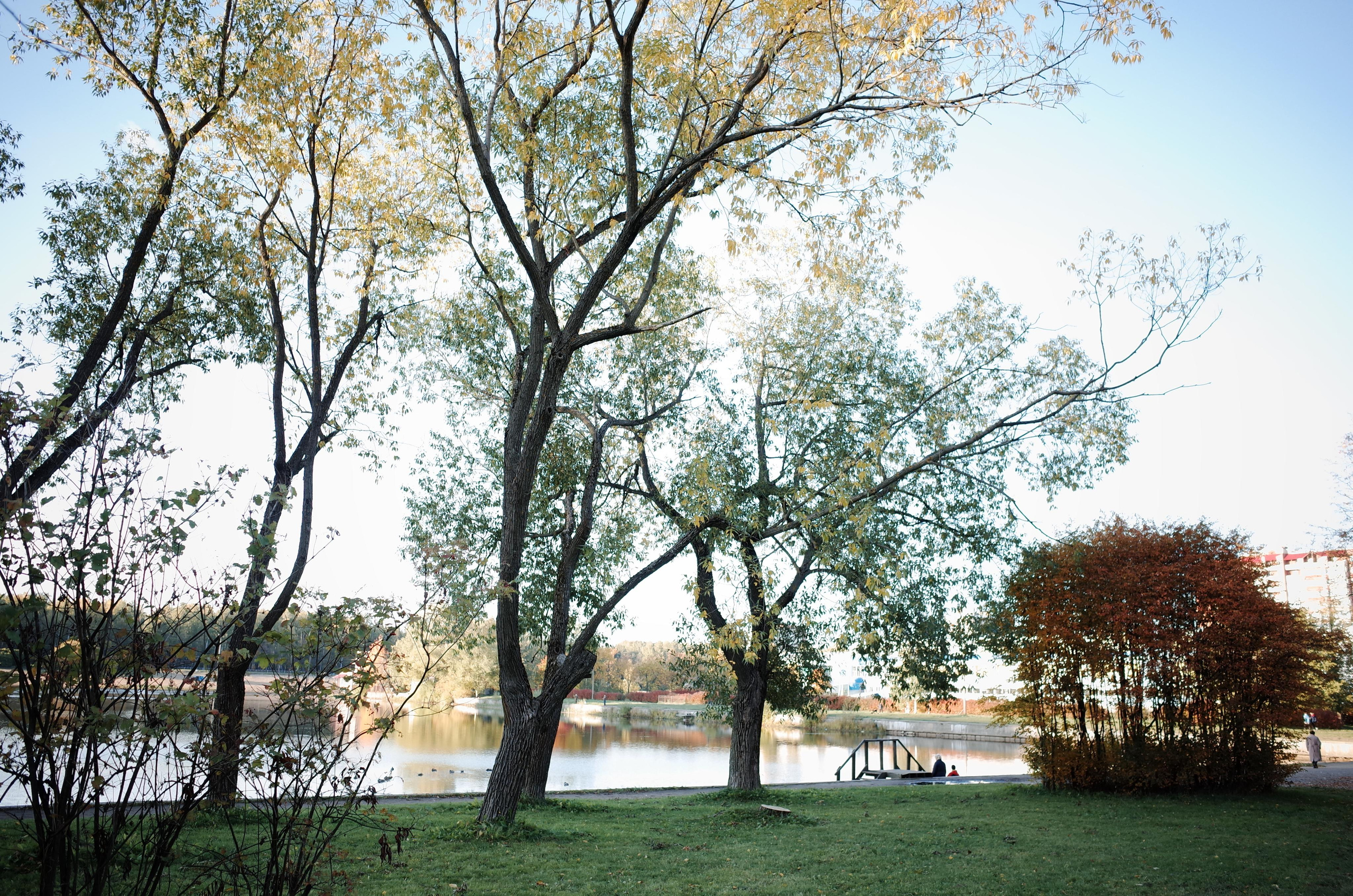 Little magic everythere. Victoria Dini. Art photography in London / Folkestone, UK