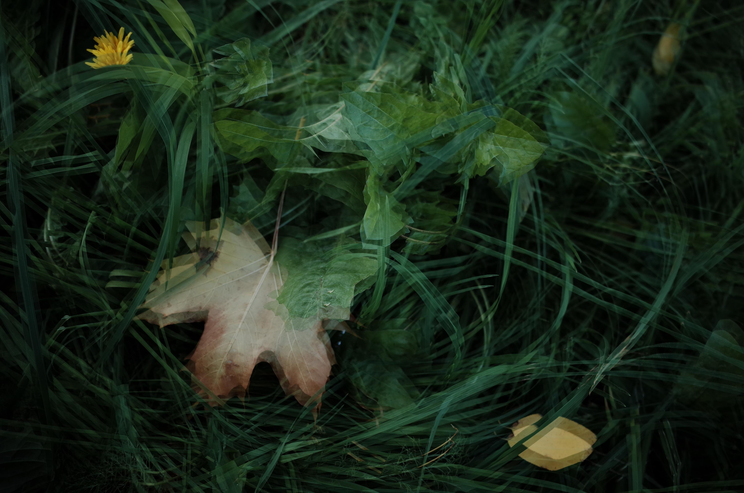 Little magic everythere. Victoria Dini. Art photography in London / Folkestone, UK