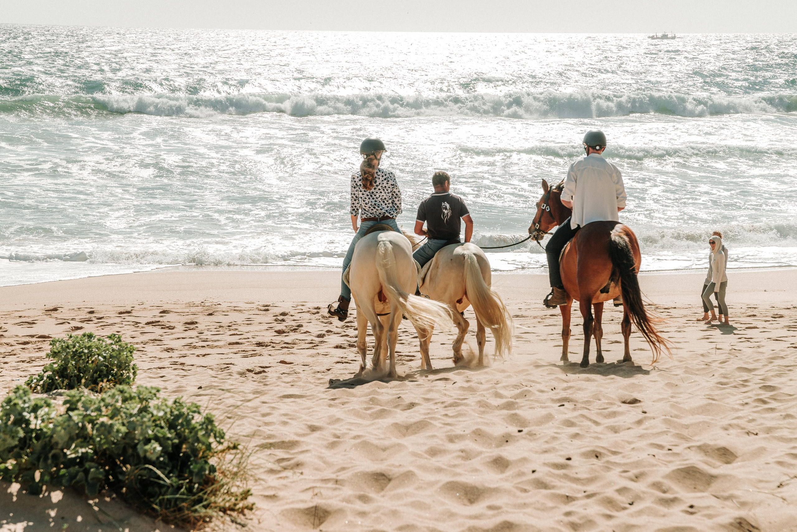 Eco Salgados Agroturismo — Laura & Nicolas. Passeios a Cavalo na Praia Peniche | Eco Salgados Agroturismo