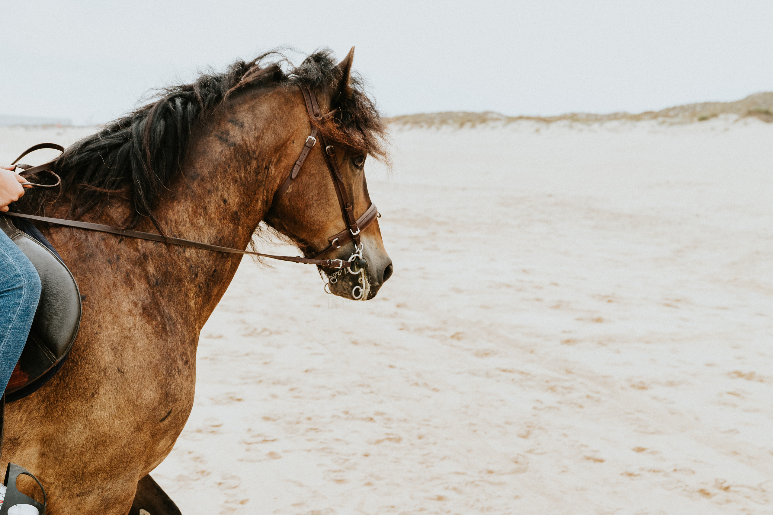 Eco Salgados Agroturismo — Méline & Joel. Passeios a Cavalo na Praia Peniche | Eco Salgados Agroturismo