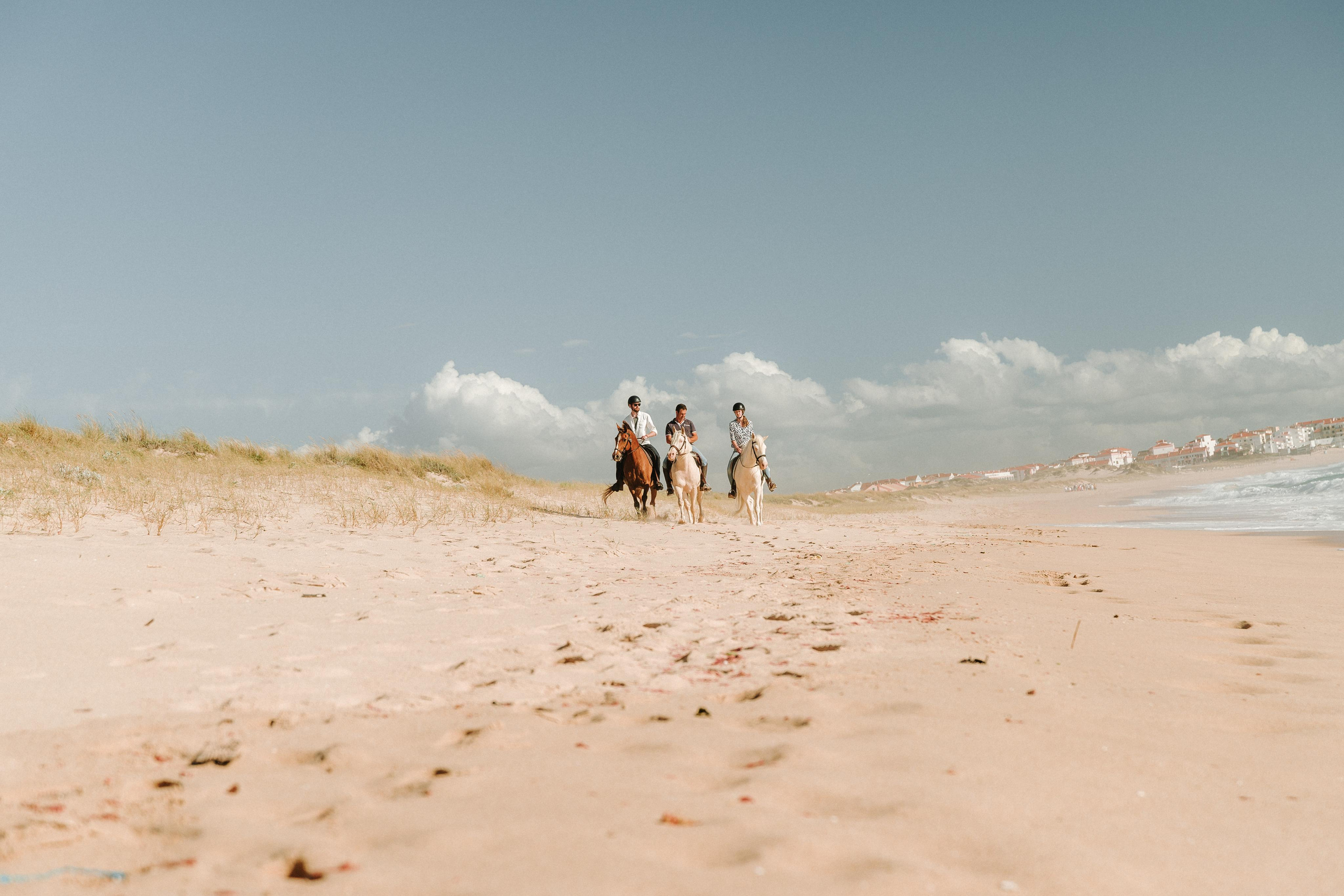 Eco Salgados Agroturismo — Laura & Nicolas. Passeios a Cavalo na Praia Peniche | Eco Salgados Agroturismo
