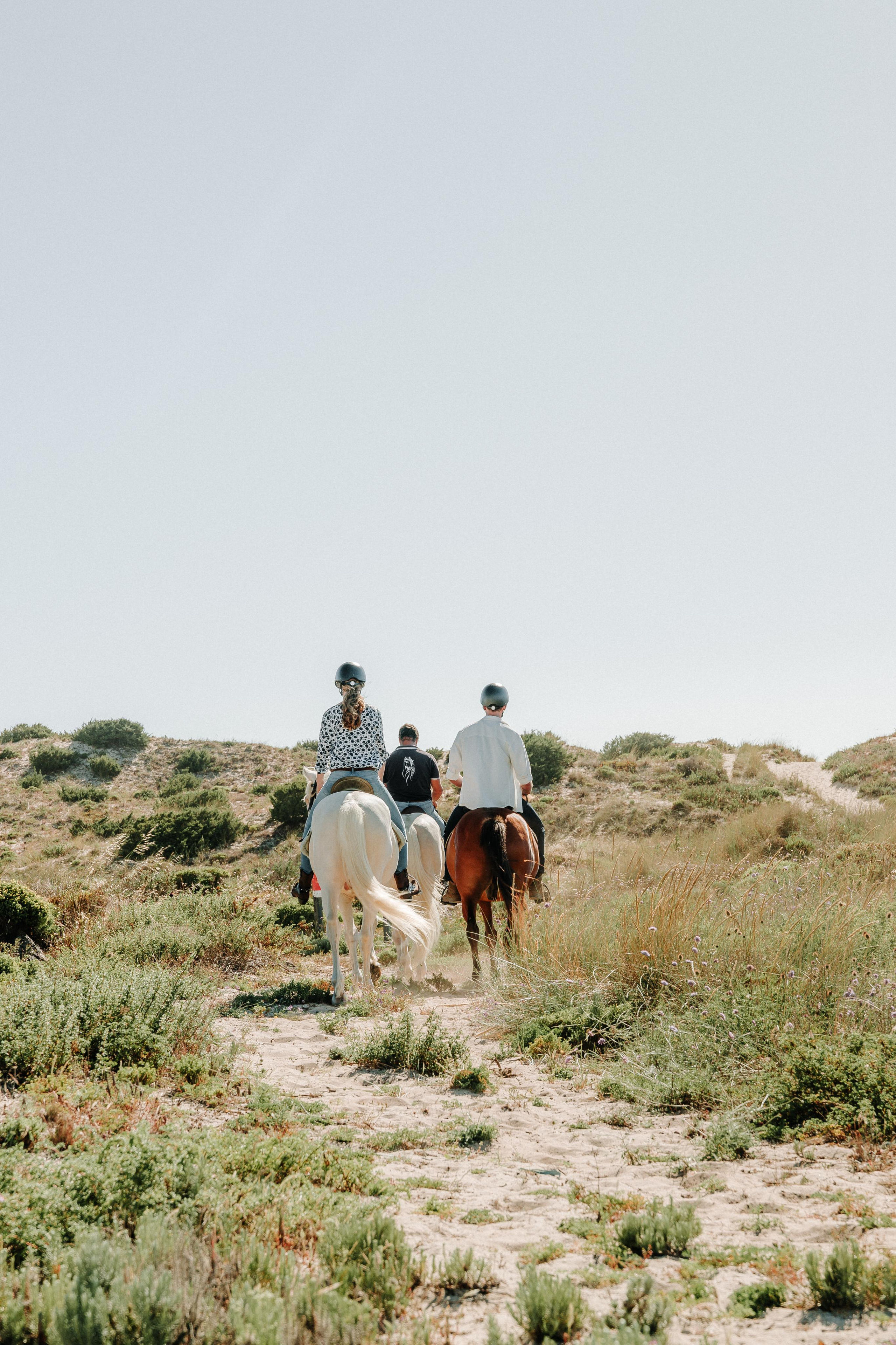 Eco Salgados Agroturismo — Laura & Nicolas. Passeios a Cavalo na Praia Peniche | Eco Salgados Agroturismo