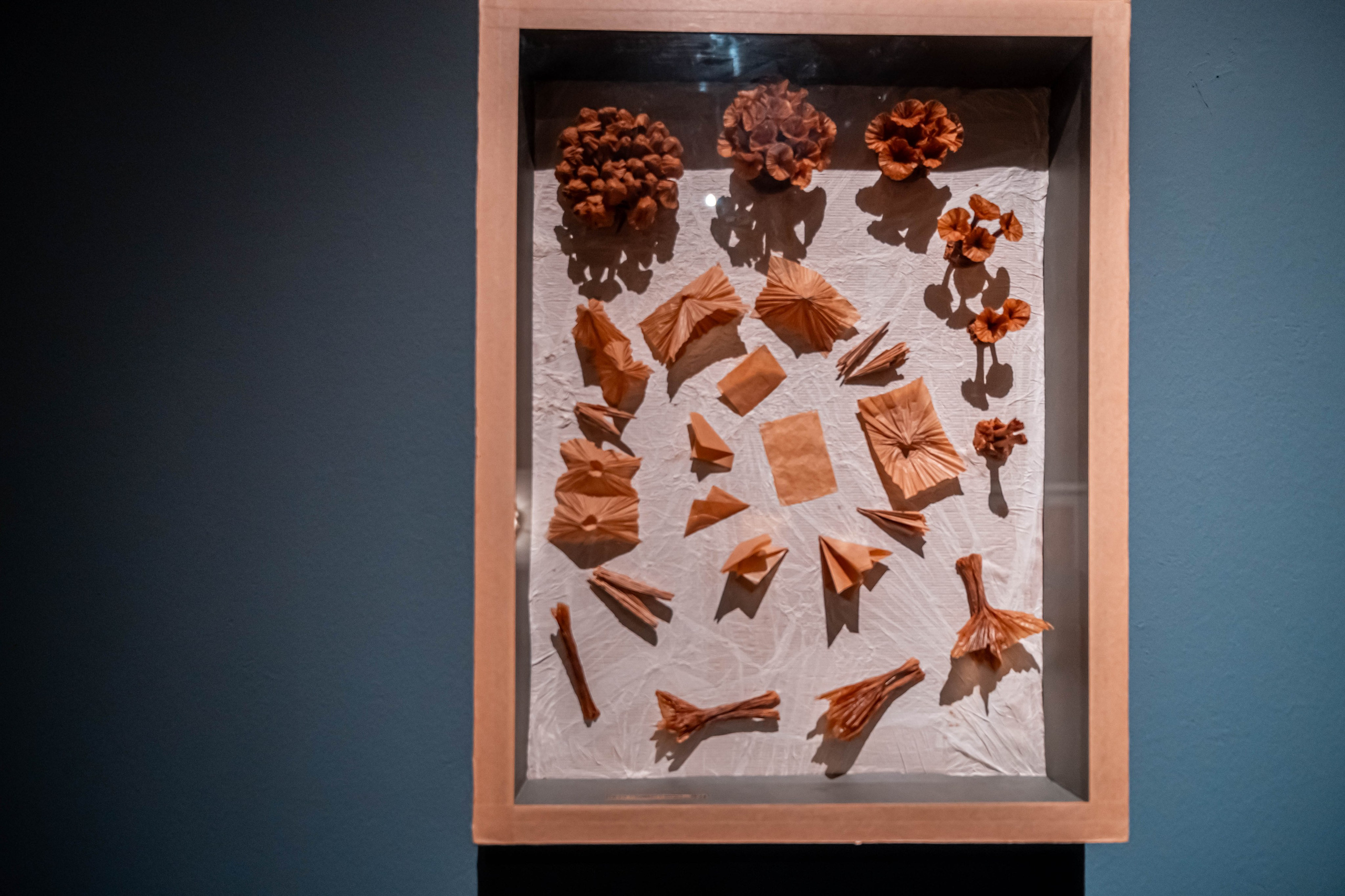 Museo de origami, Zaragoza. Alba del Norte Studio