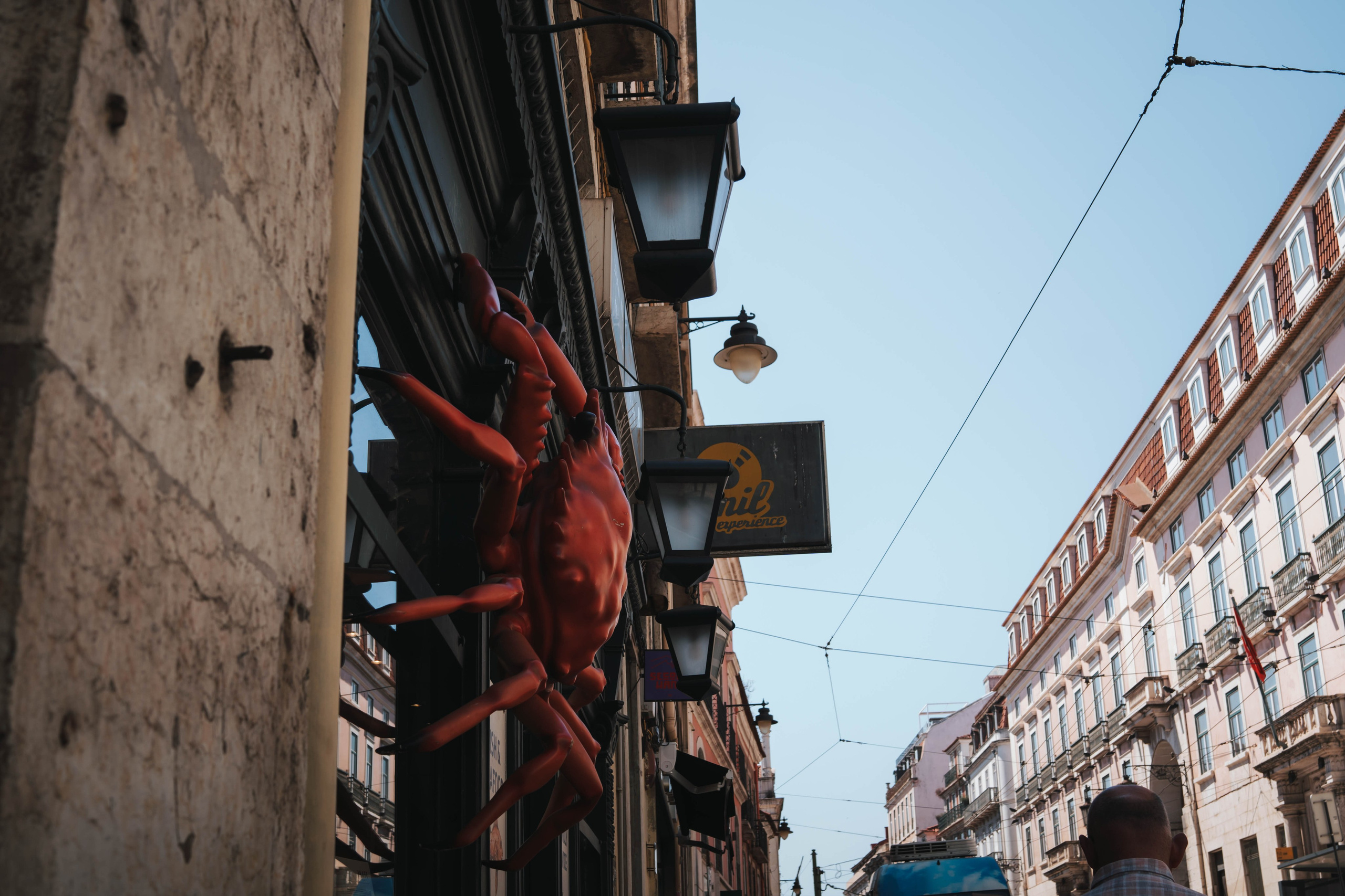 Lisboa, Agosto 2024. Alba del Norte Studio