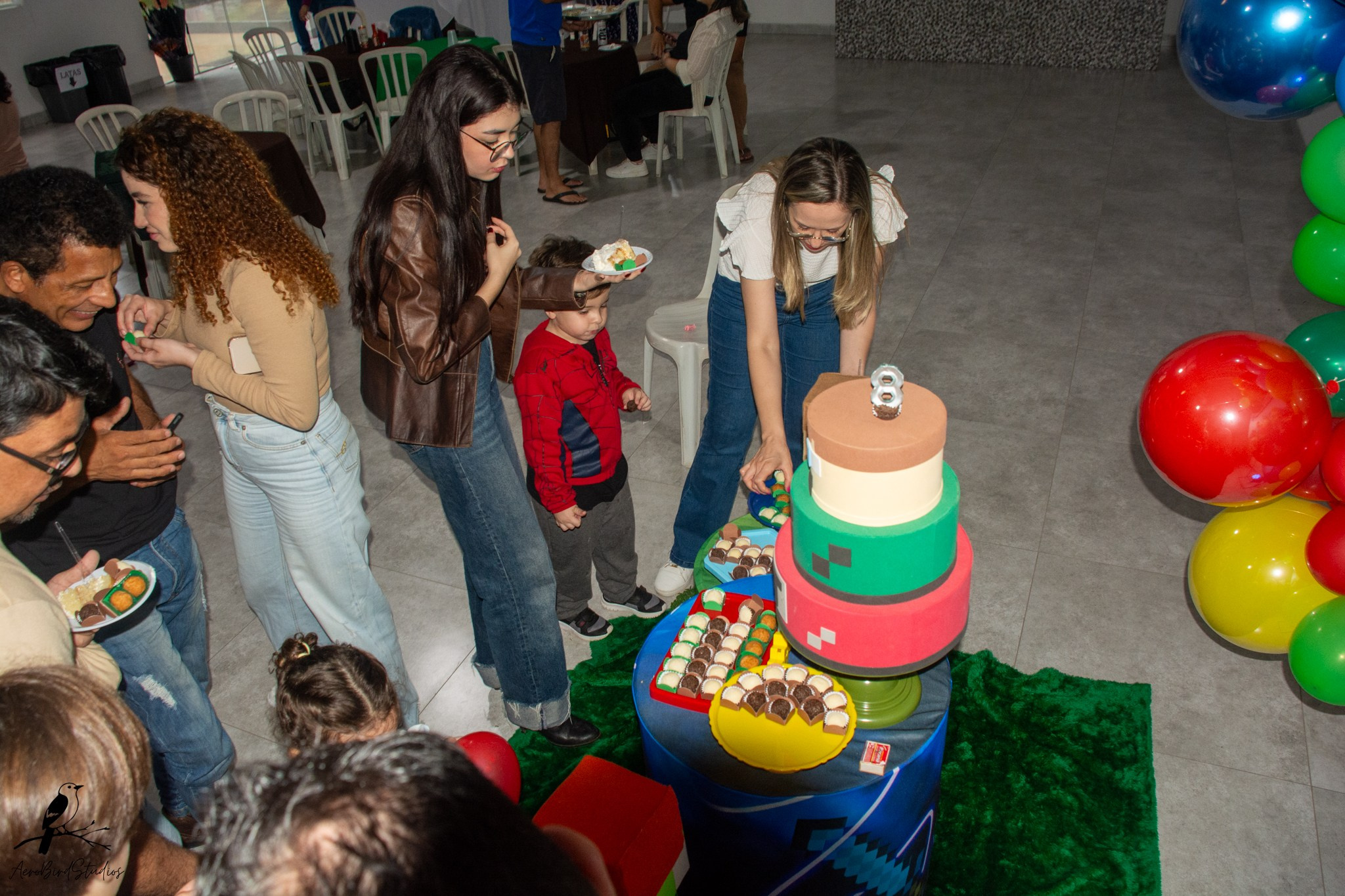 Leonardo 8 ano. AerobirdStudios