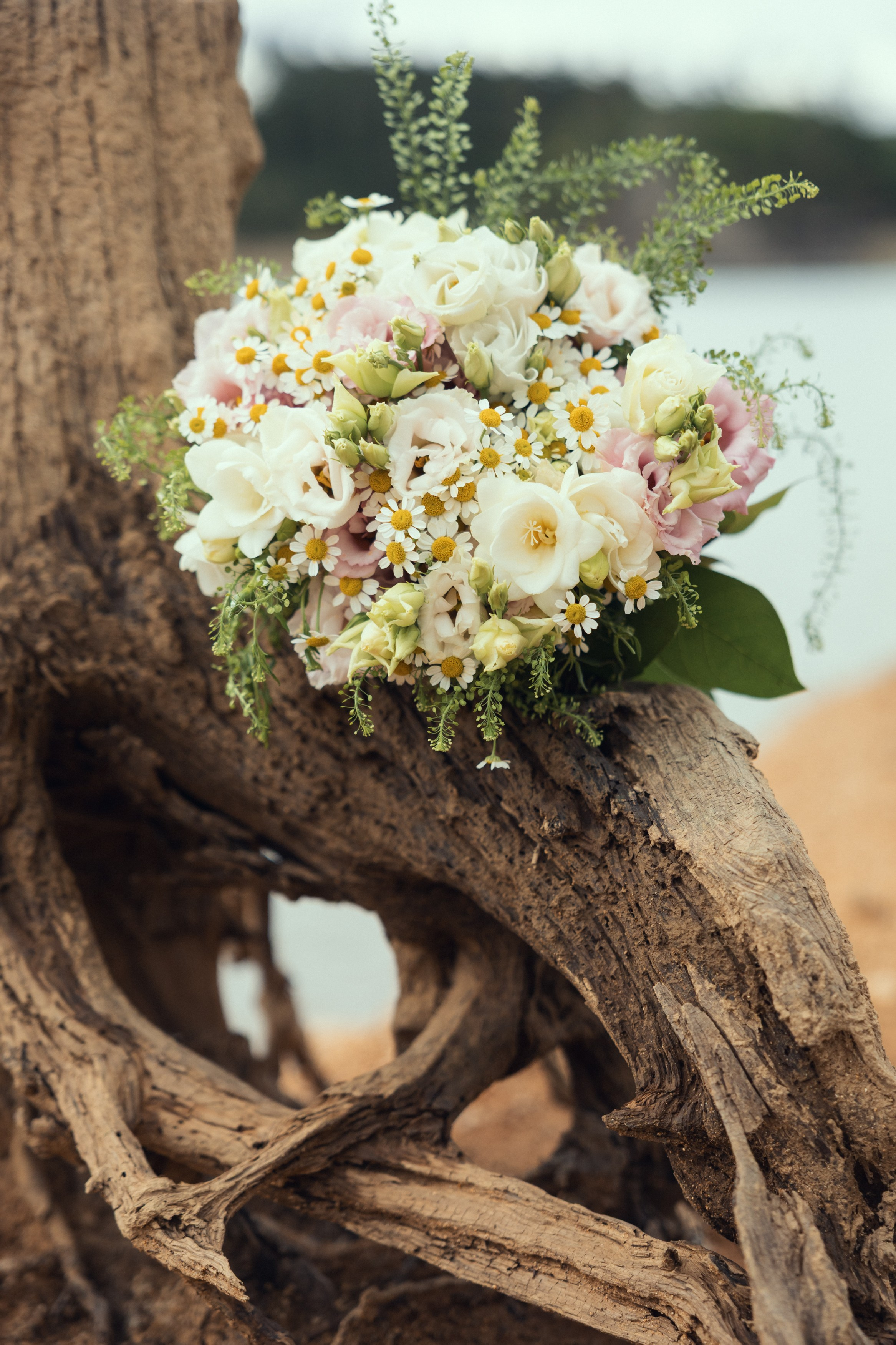 Svatební focení Písek. Rodinná, těhotenská, newborn a lifestyle fotografka v Písku Oxana Telupilova